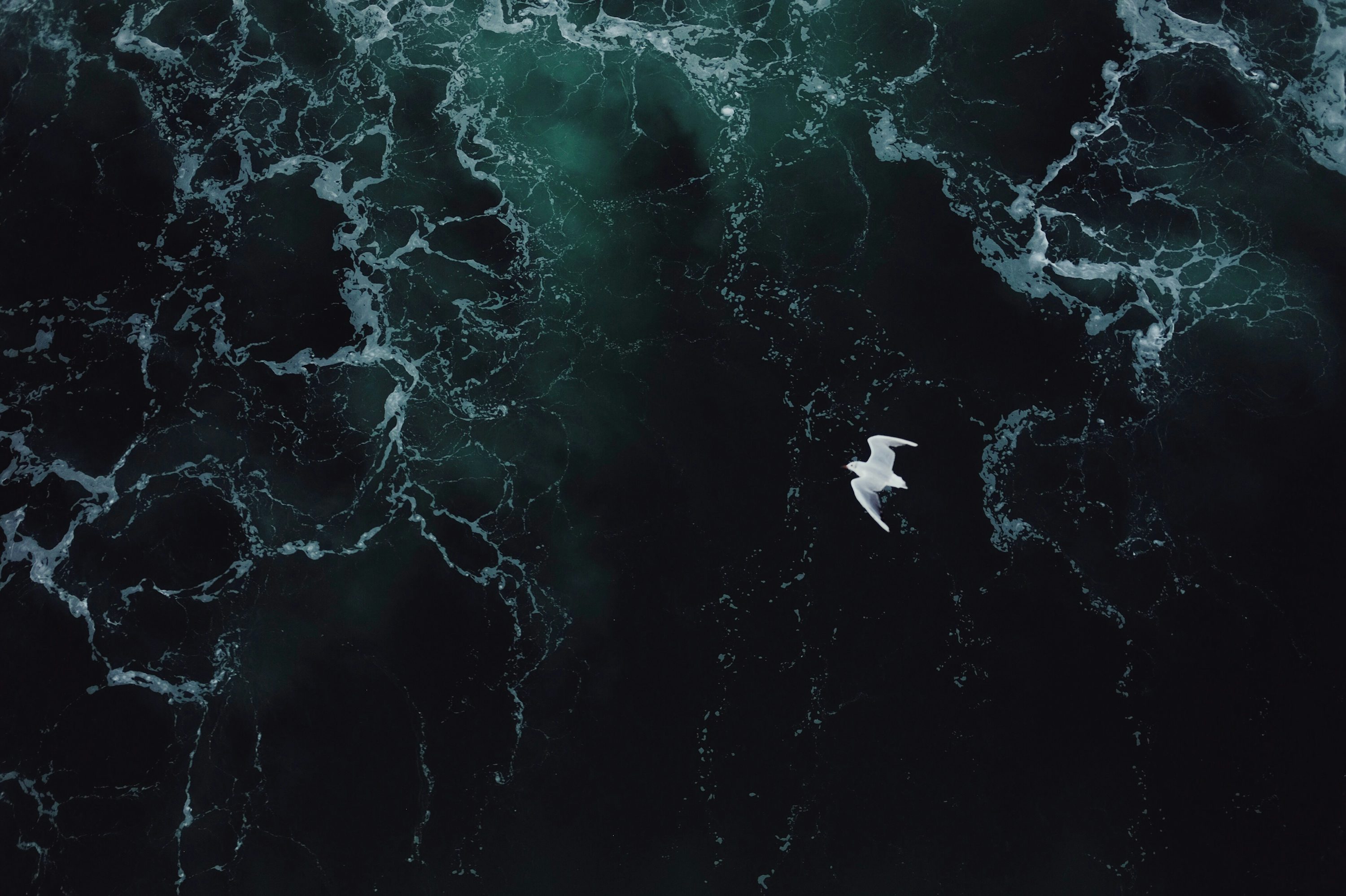 Dark Sea Picture [HQ]. Download