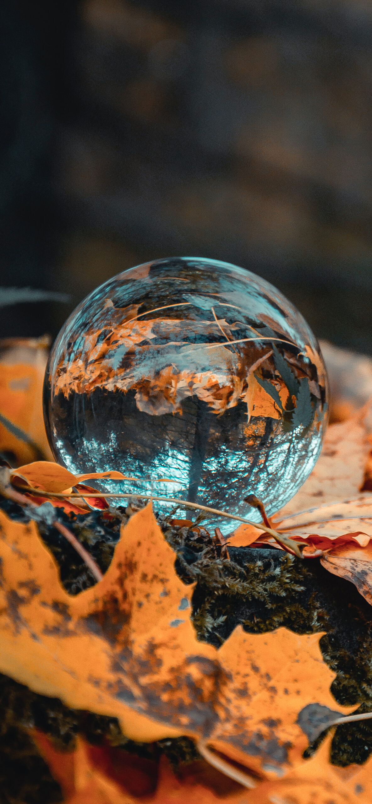 Crystal Ball Wallpaper for iPhone 11