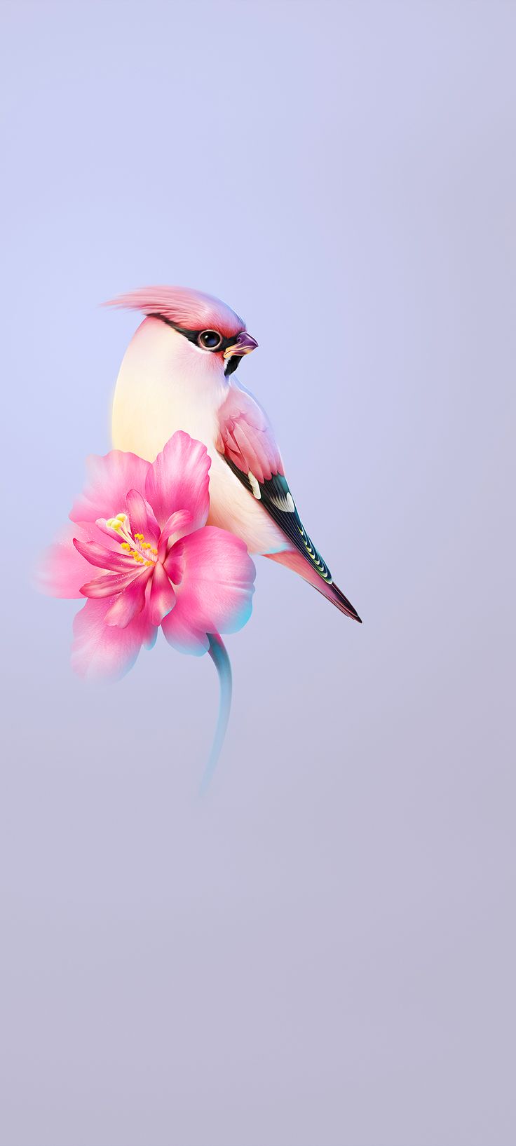 Bird Wallpaper