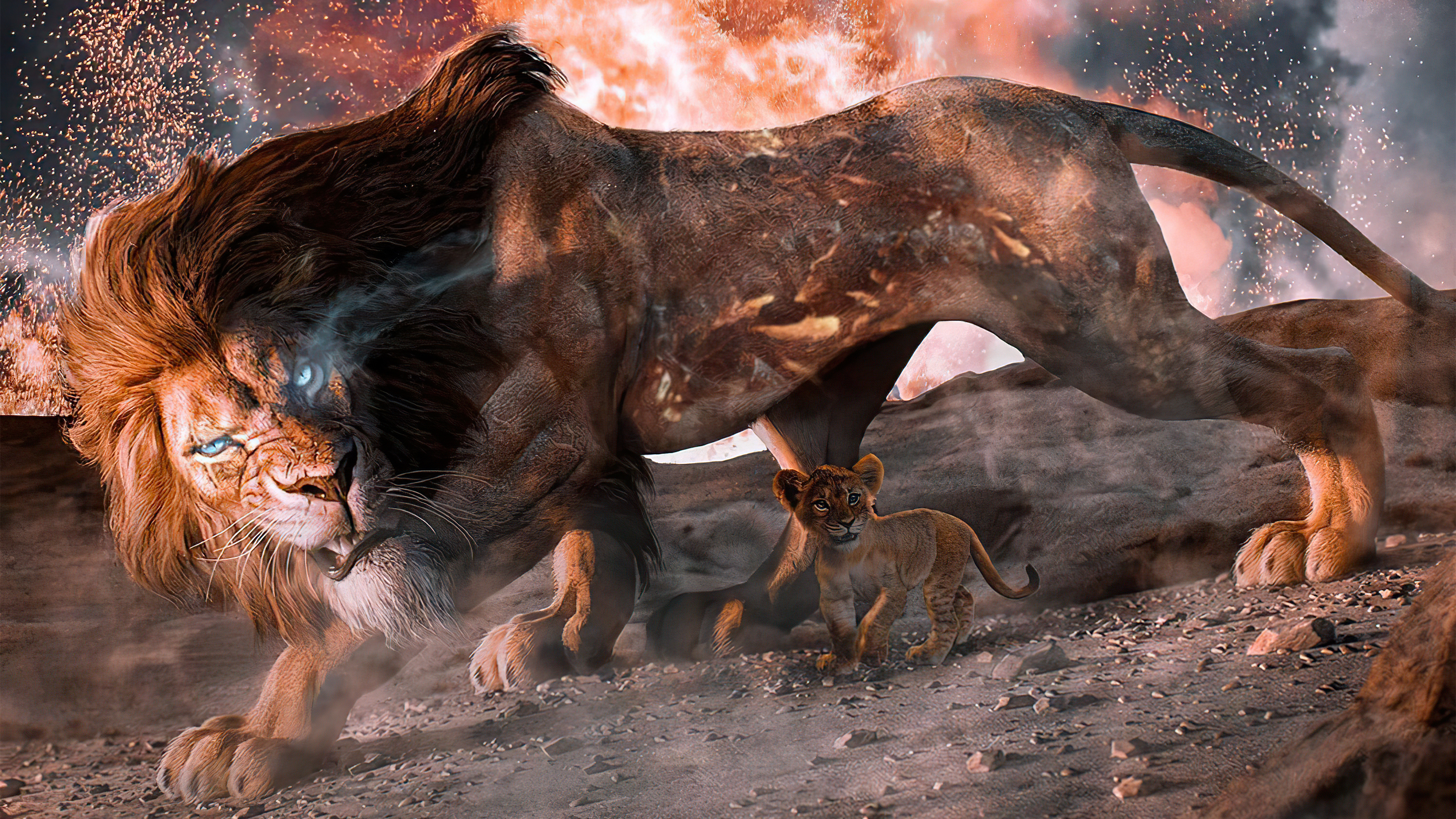 Lion And Cub Journey 4k 4K