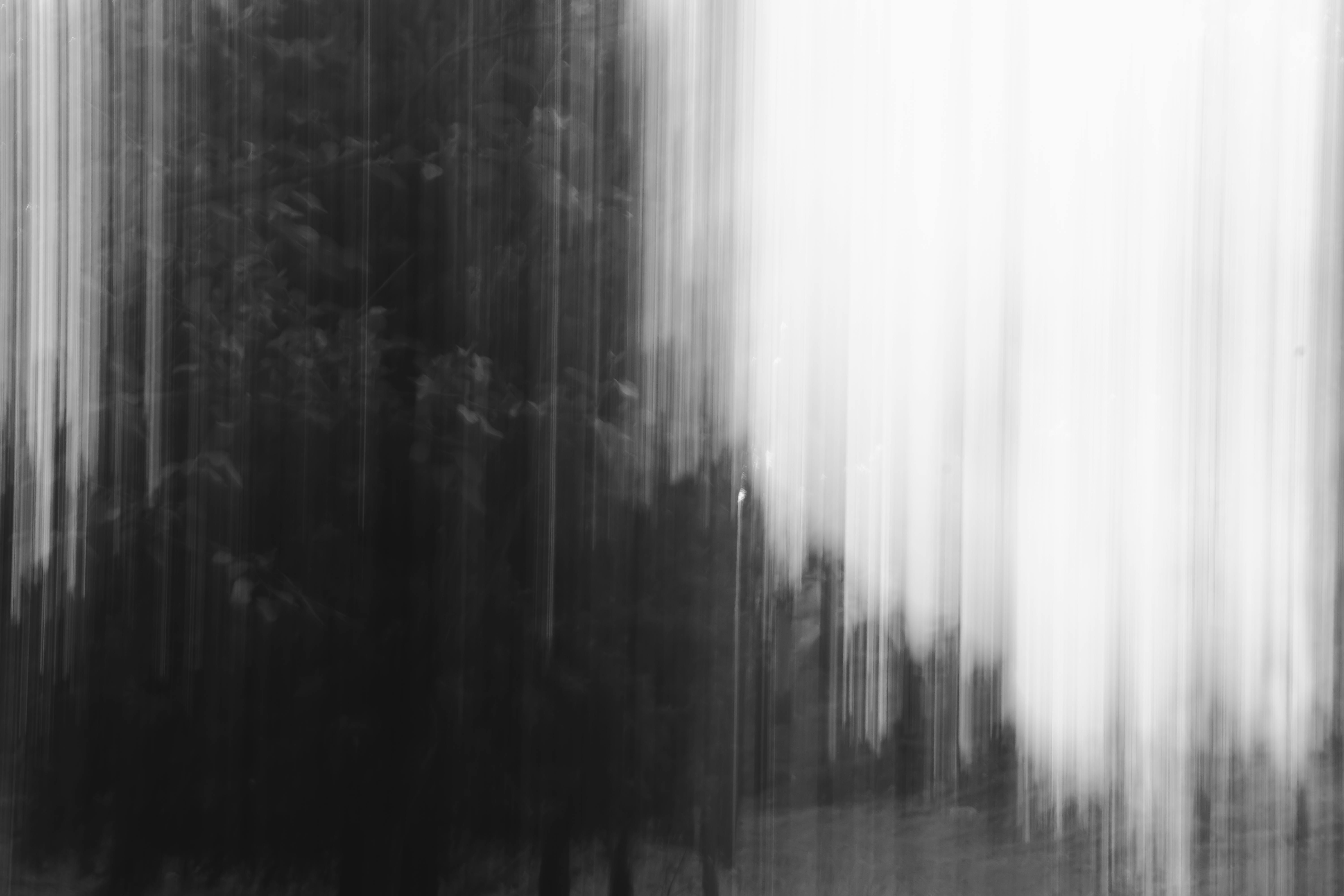 Black And White Art Photo, Download