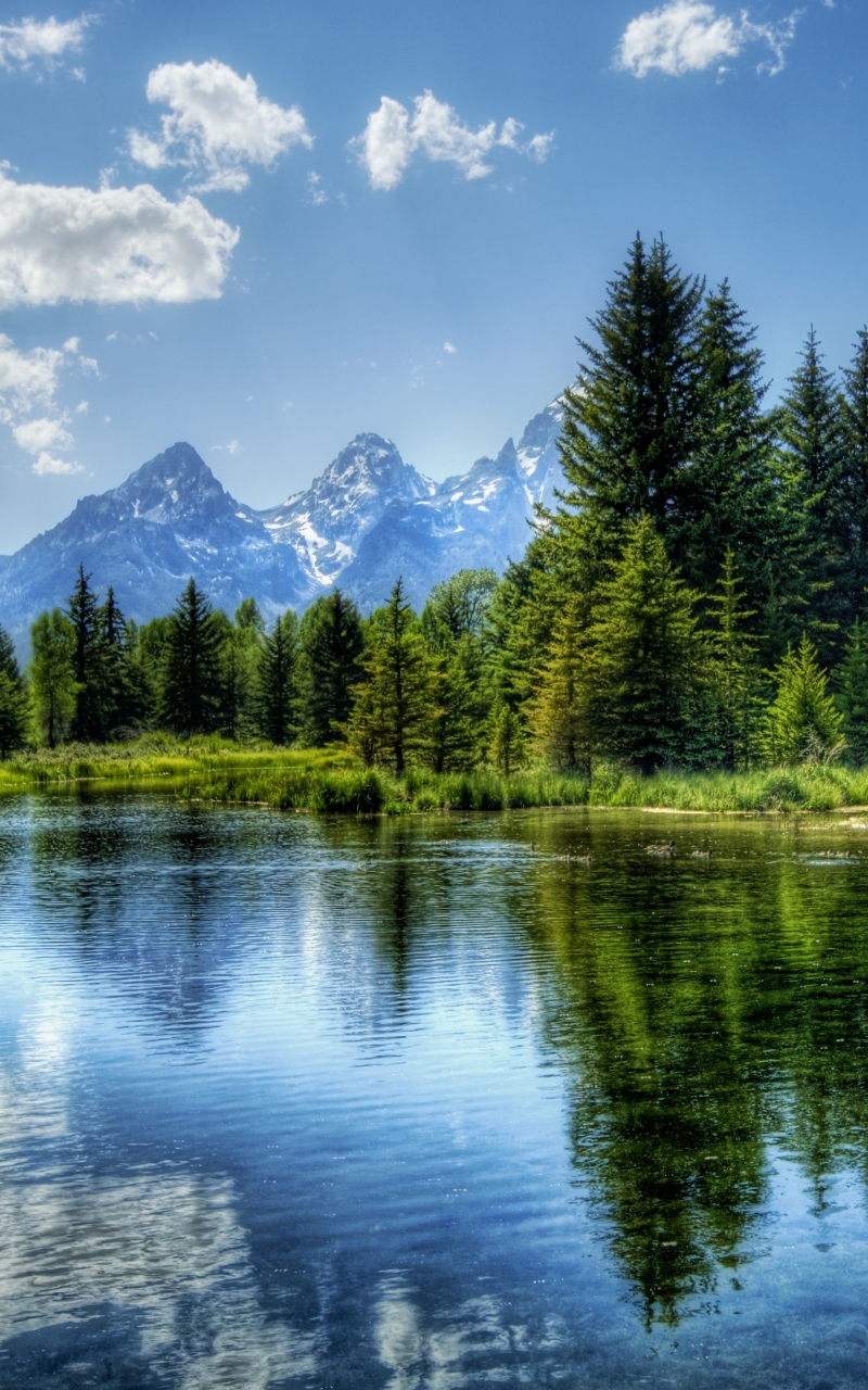 Wyoming iPhone Wallpaper