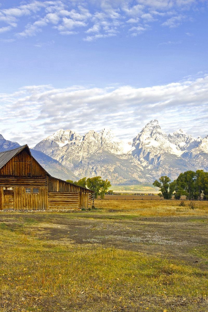 Download wallpaper 800x1200 house