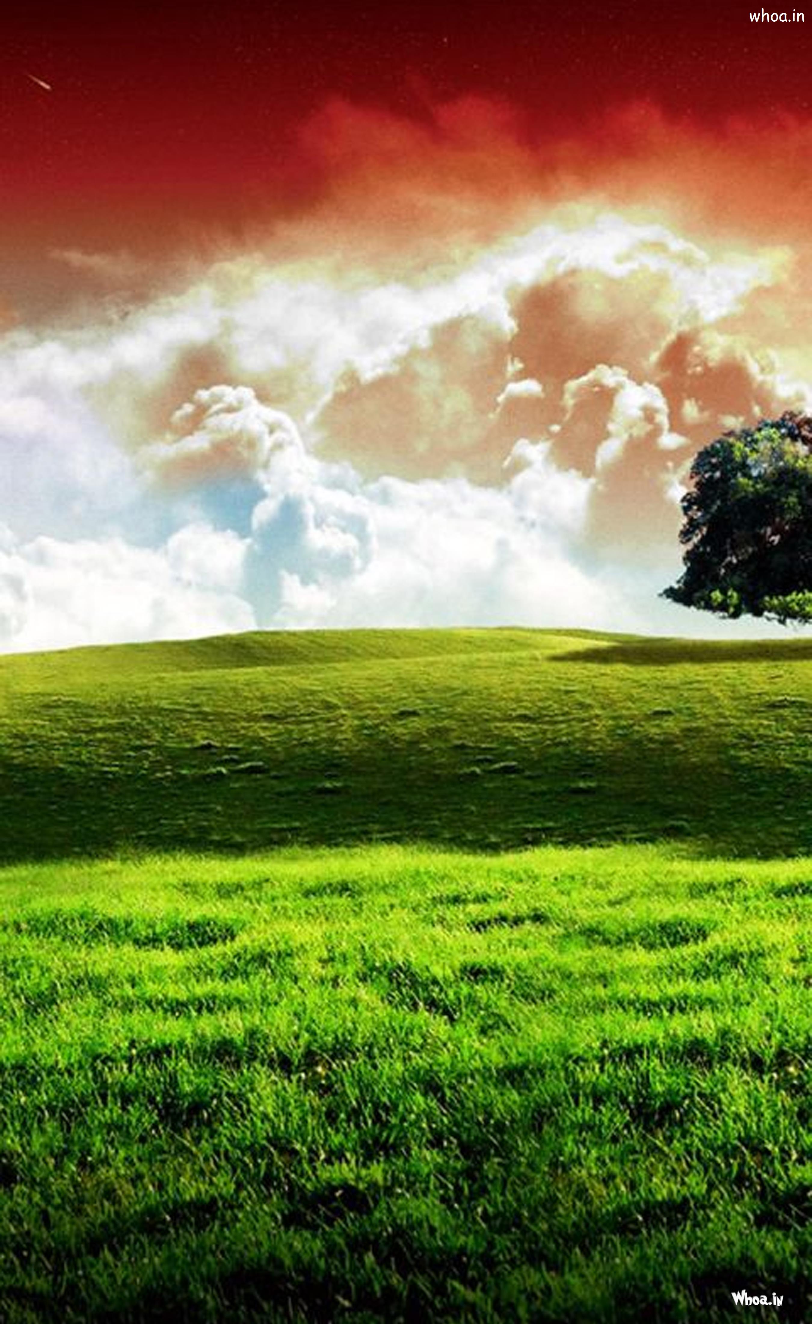 Indian Flag Pictureimagephoto Mobile