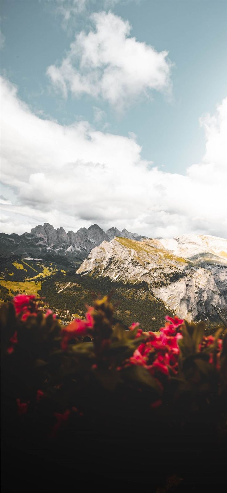 Yellowstone National Park iPhone 11