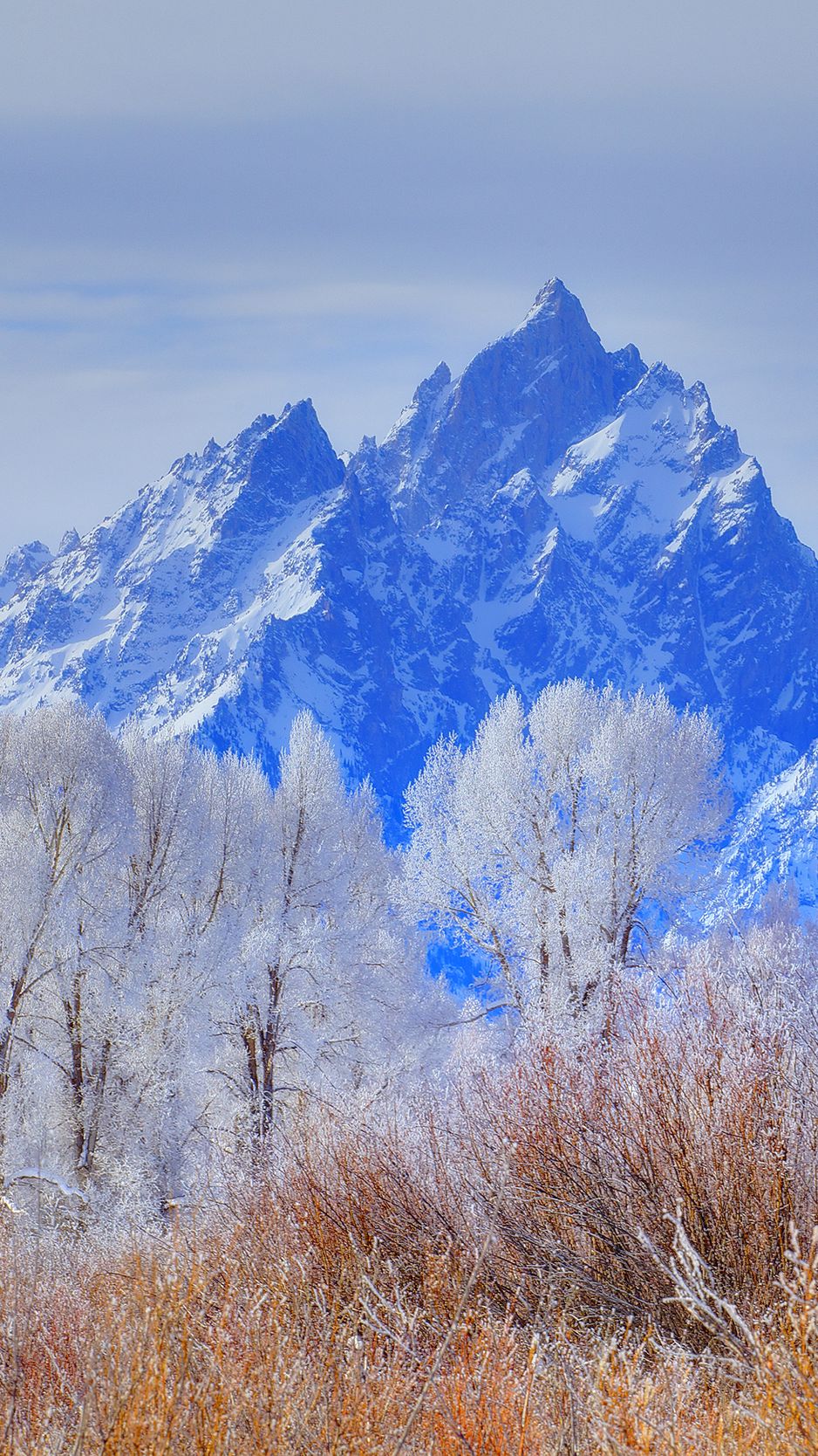 wallpaper 938x1668 grand teton national