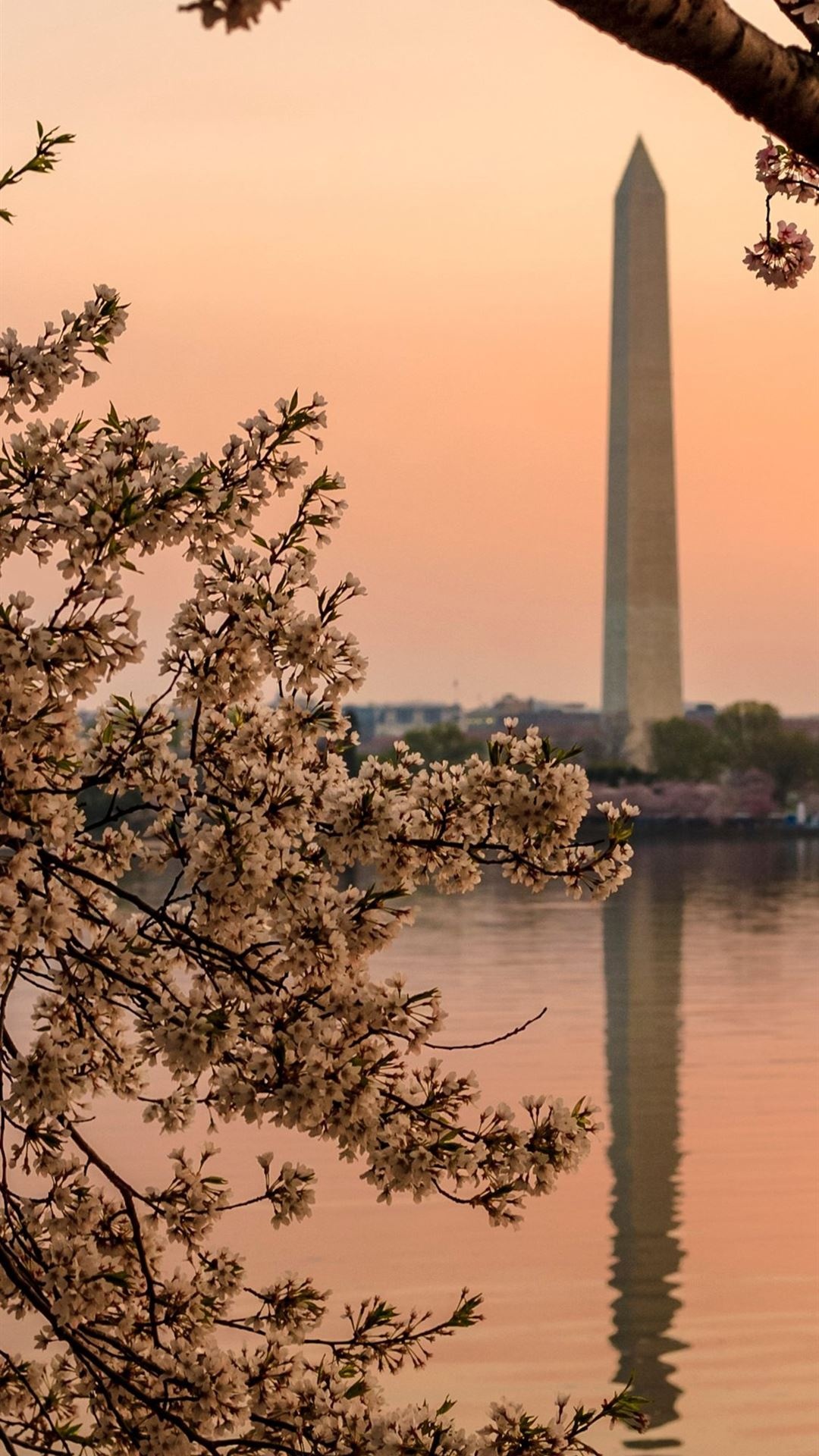 Washington, D.C. Wallpaper