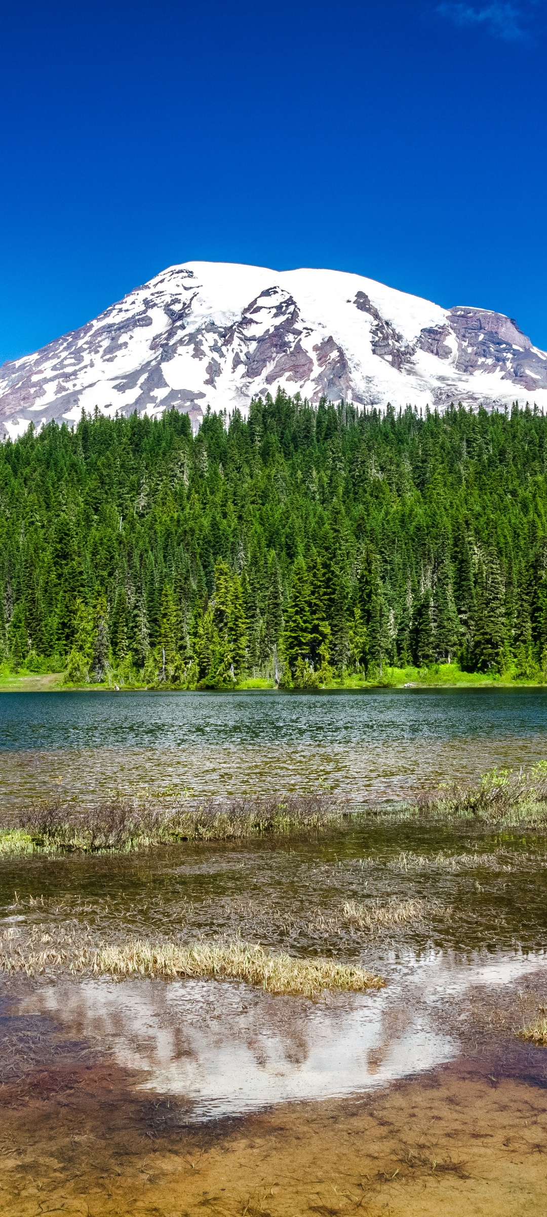 Mount Rainier National Park Wallpaper