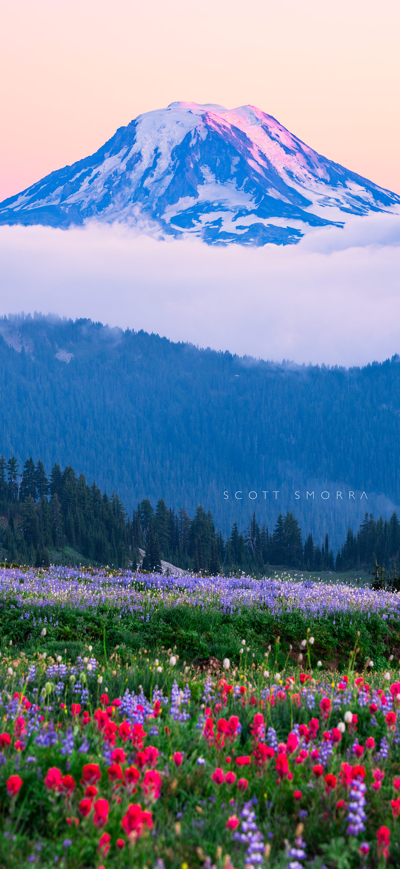 Free Phone Wallpaper 4K HD Downloads