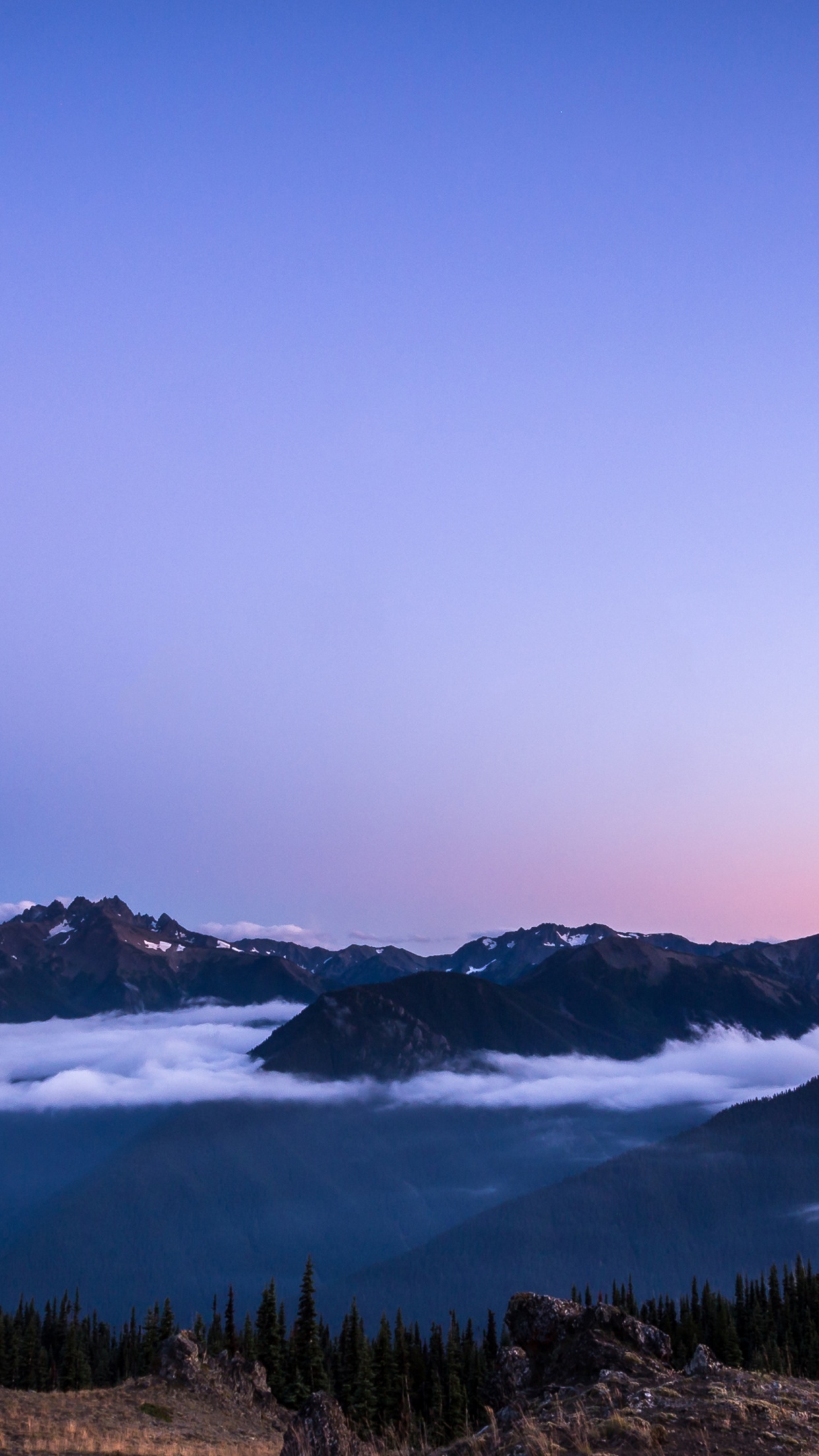 Olympic National Park Wallpaper 4K