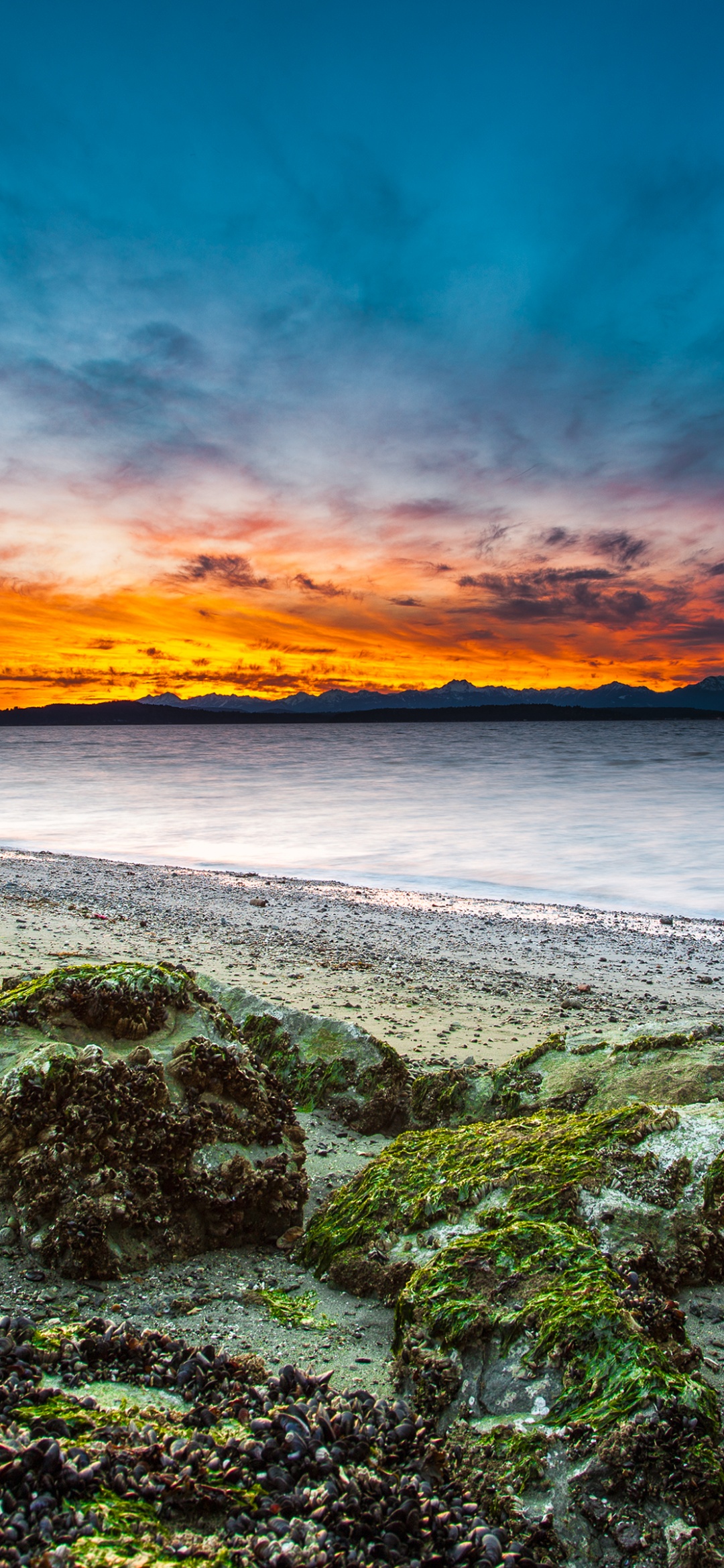 Alki Beach Wallpaper 4K, West Seattle
