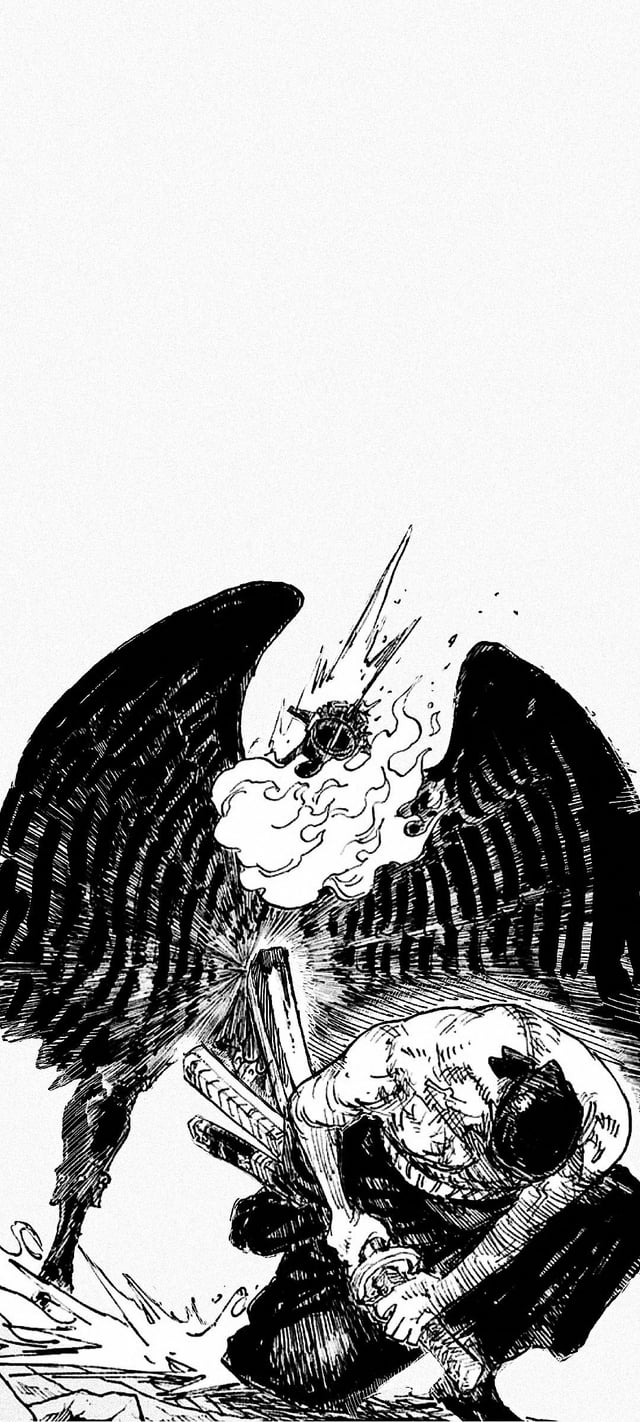 Winner = Zoro “ Wallpaper, r