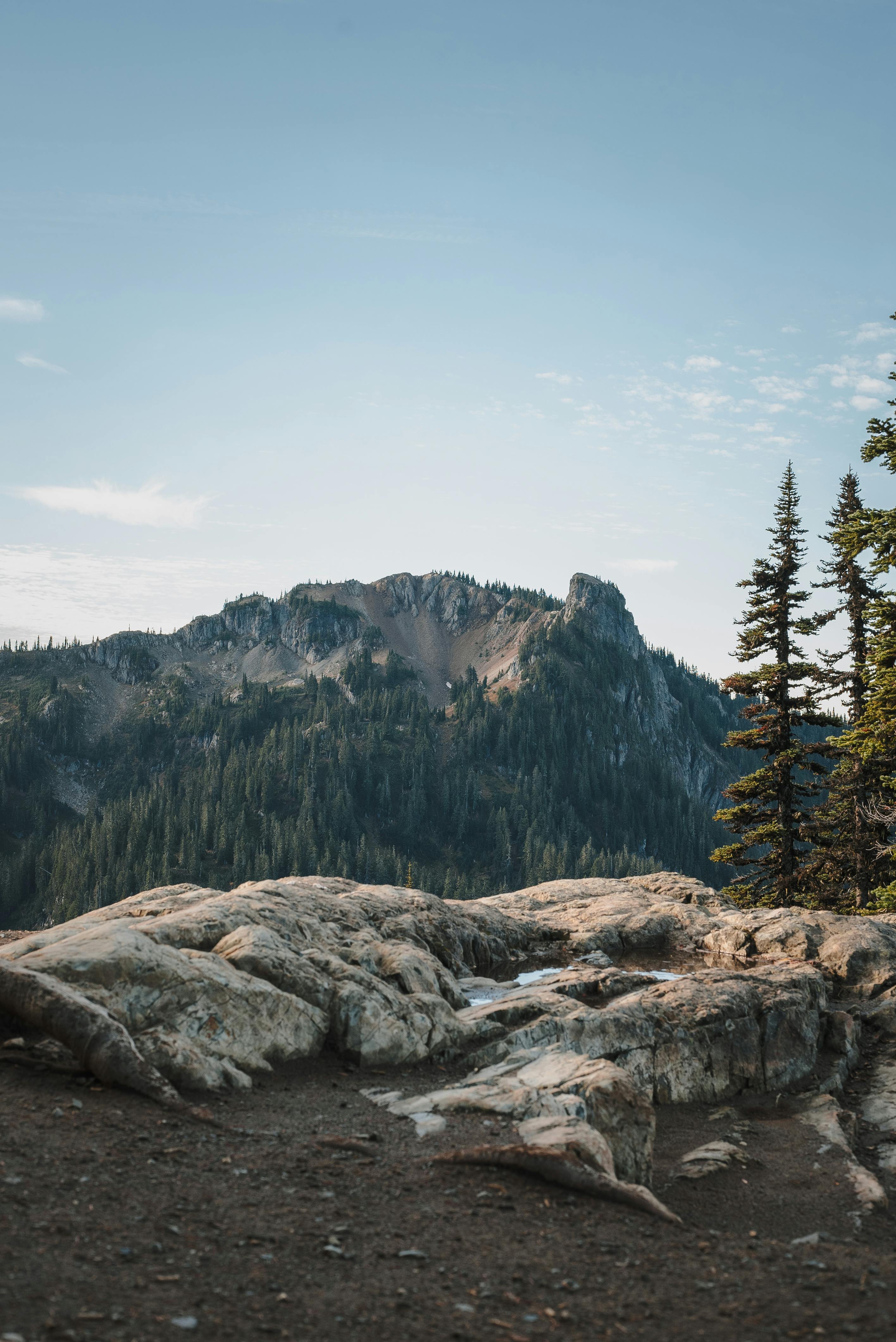 Washington State & HD Image