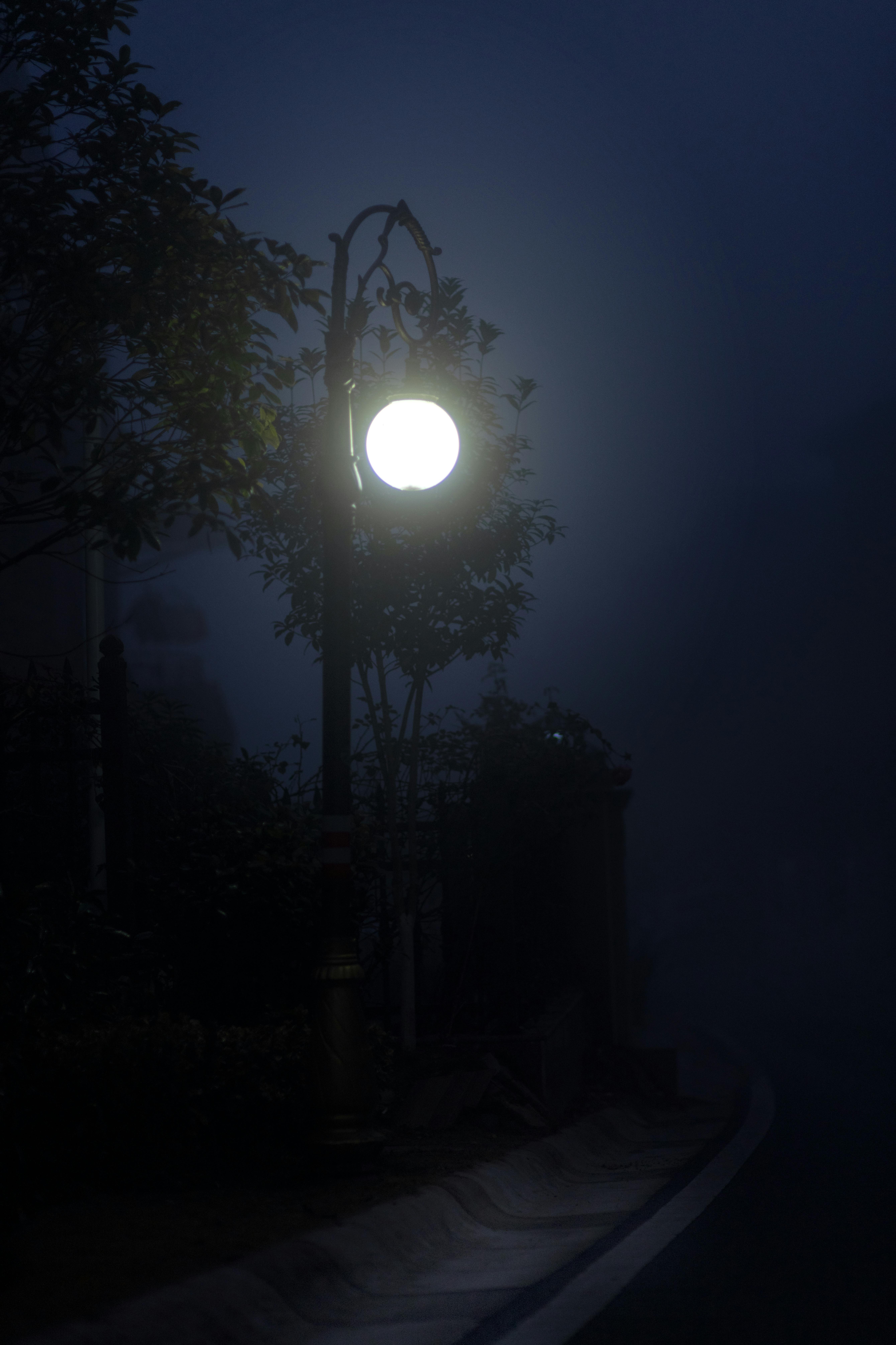 Dim Streetlight at Night in Fog · Free