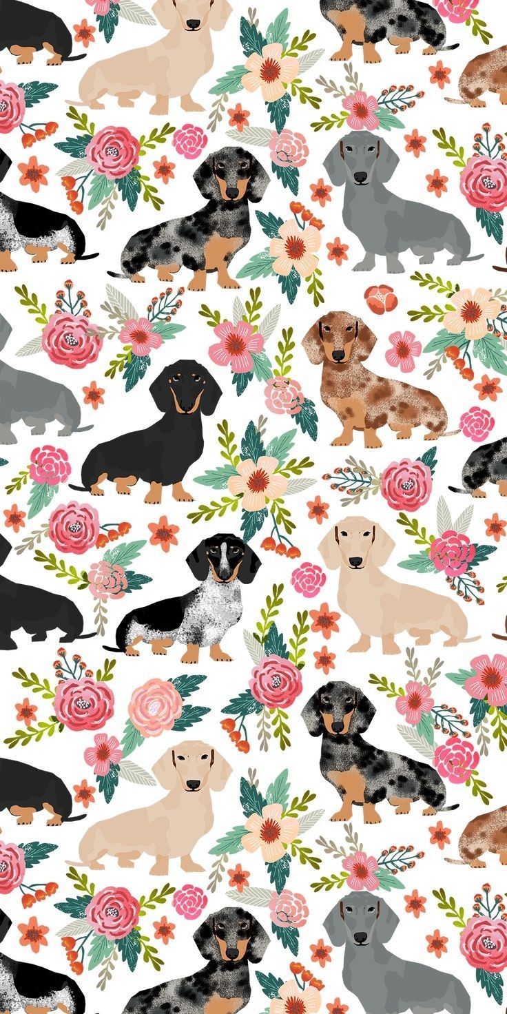 Basset Hound iPhone Mobile Phone