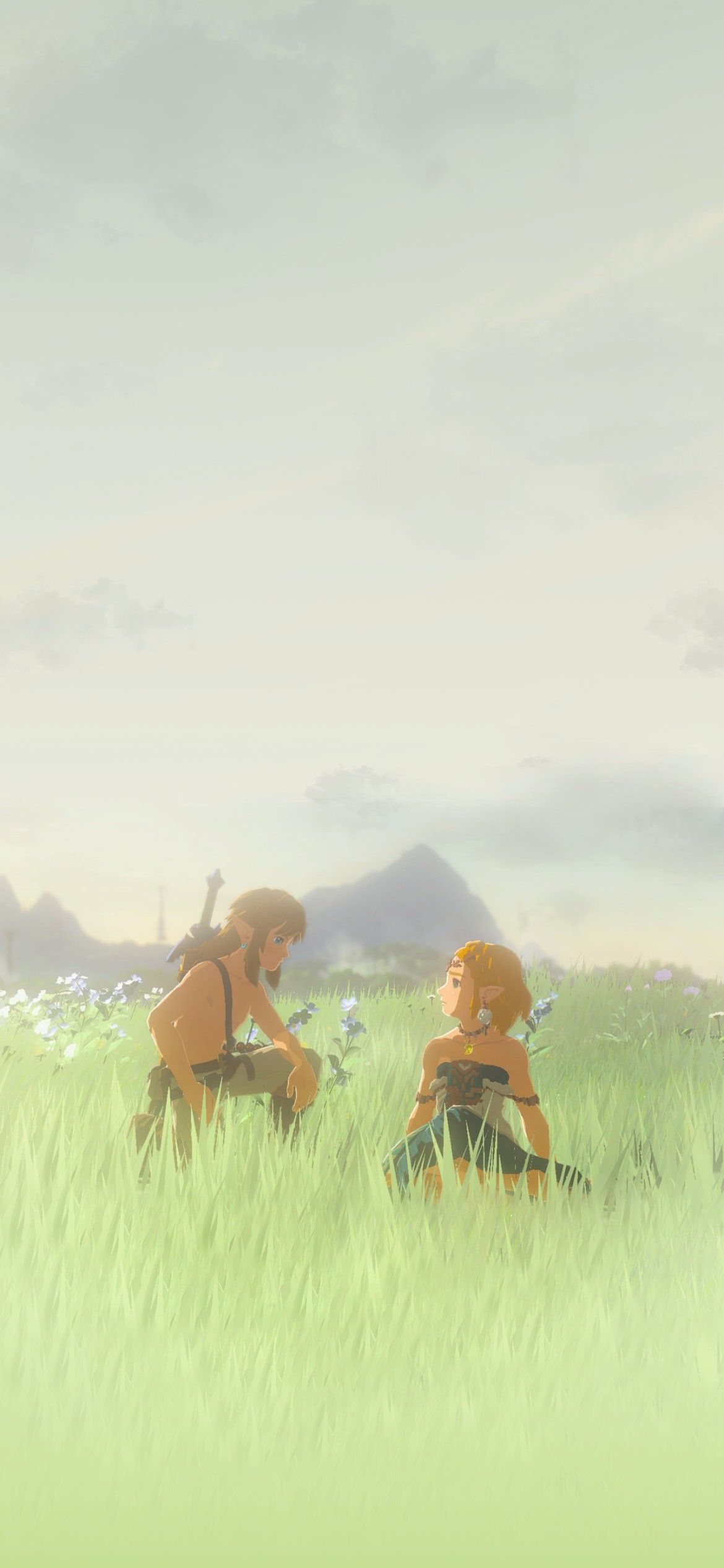 The Legend of Zelda Tears of the Kingdom Link and Zelda phone wallpaper