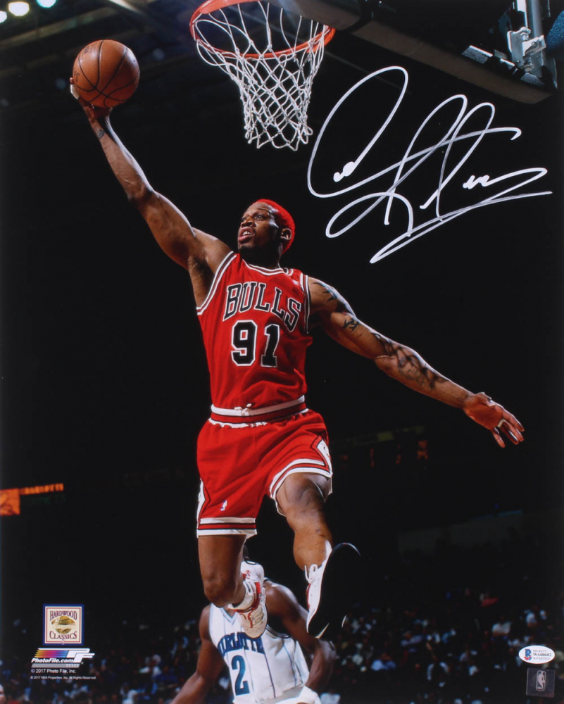 Dennis Rodman Signed Bulls 16x20 Photo