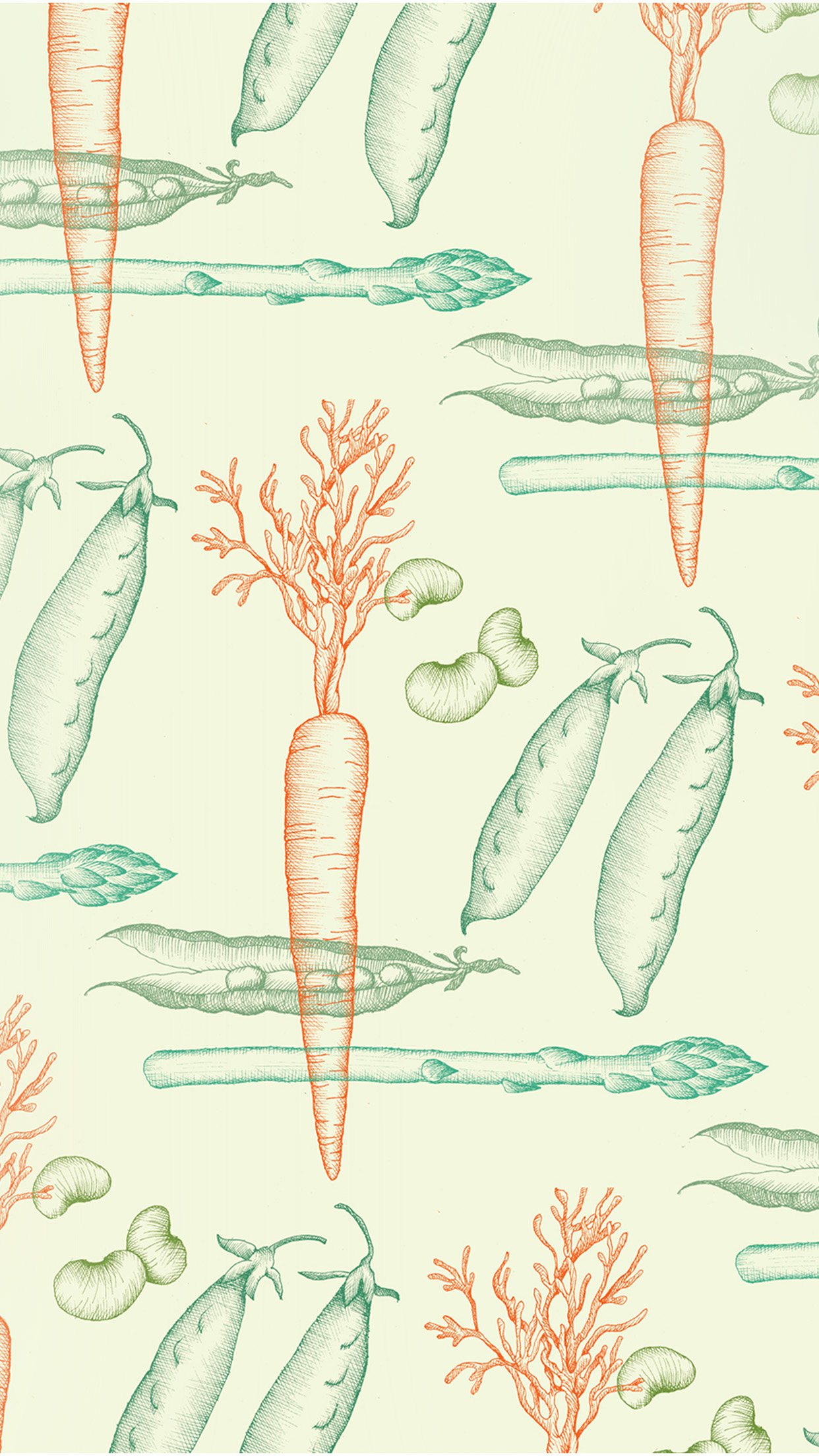 Fruit Minimal Cute Illustration