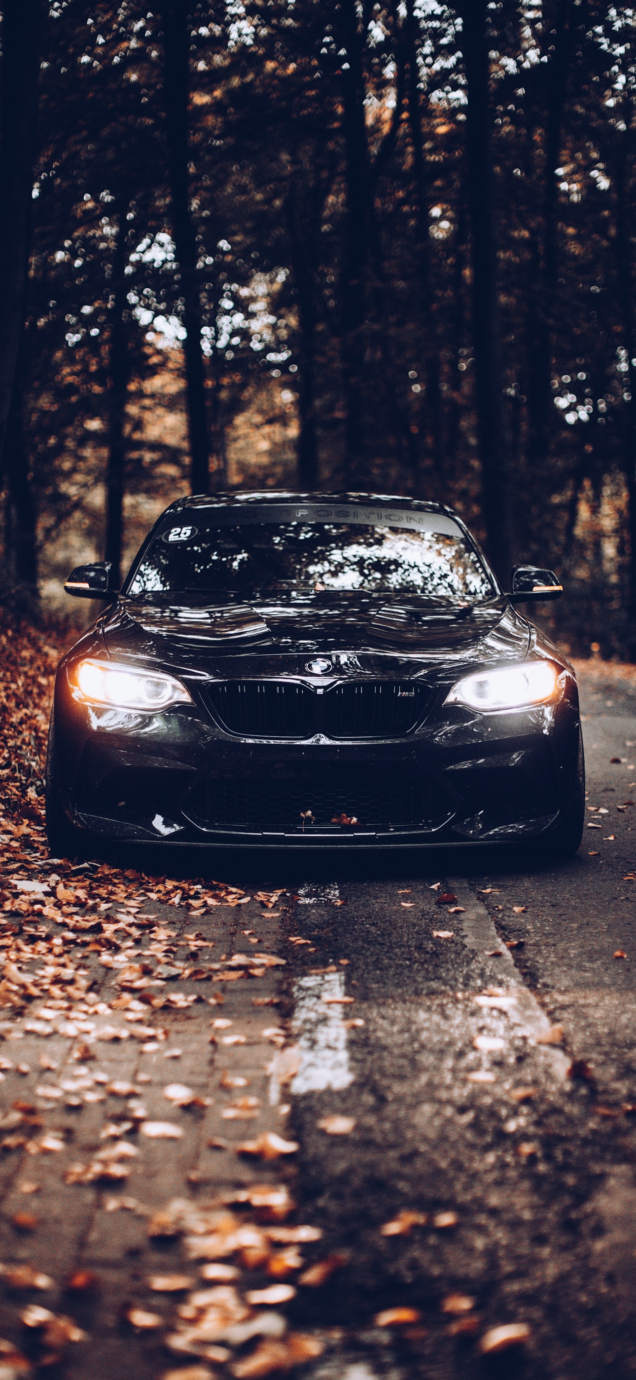 BMW Wallpaper 4K, Black cars, Cinematic, Autumn