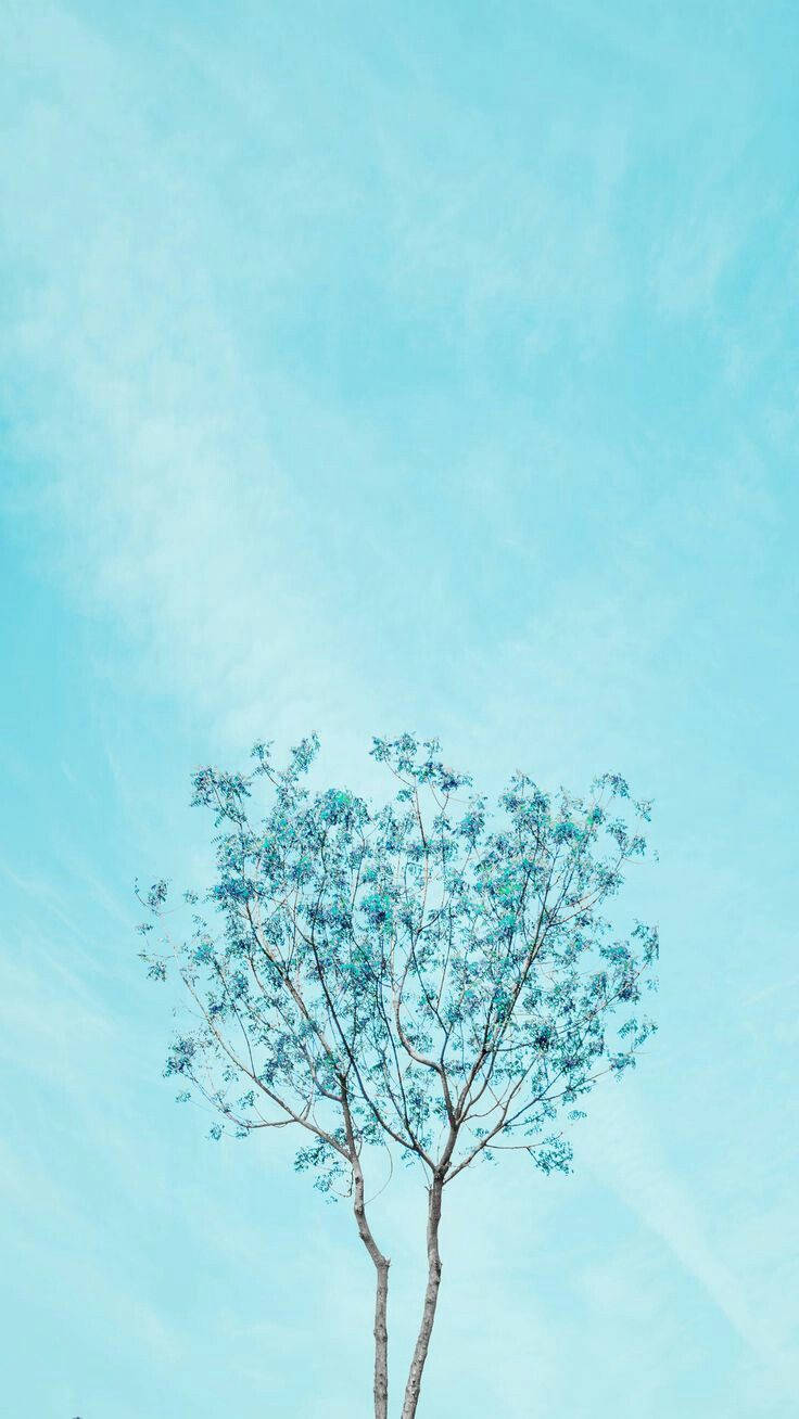 Blue Aesthetic HD Wallpaper 1300++