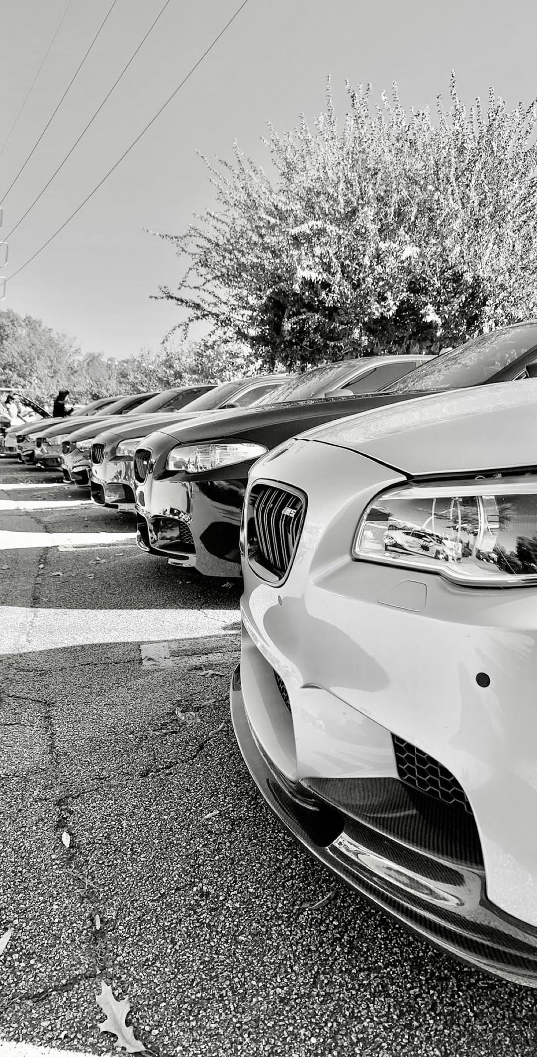 Wallpaper of F10 M5 and more