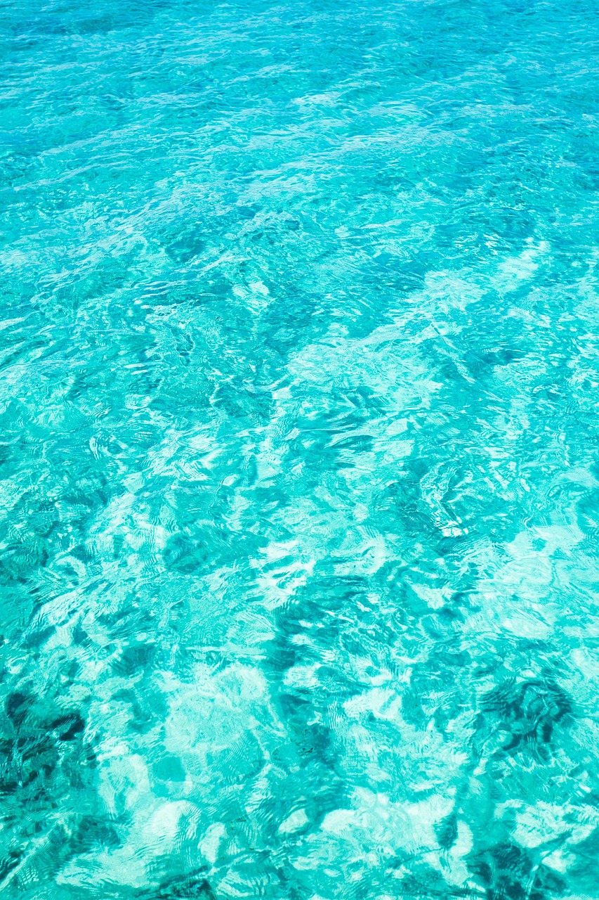 Water Pool Turquoise