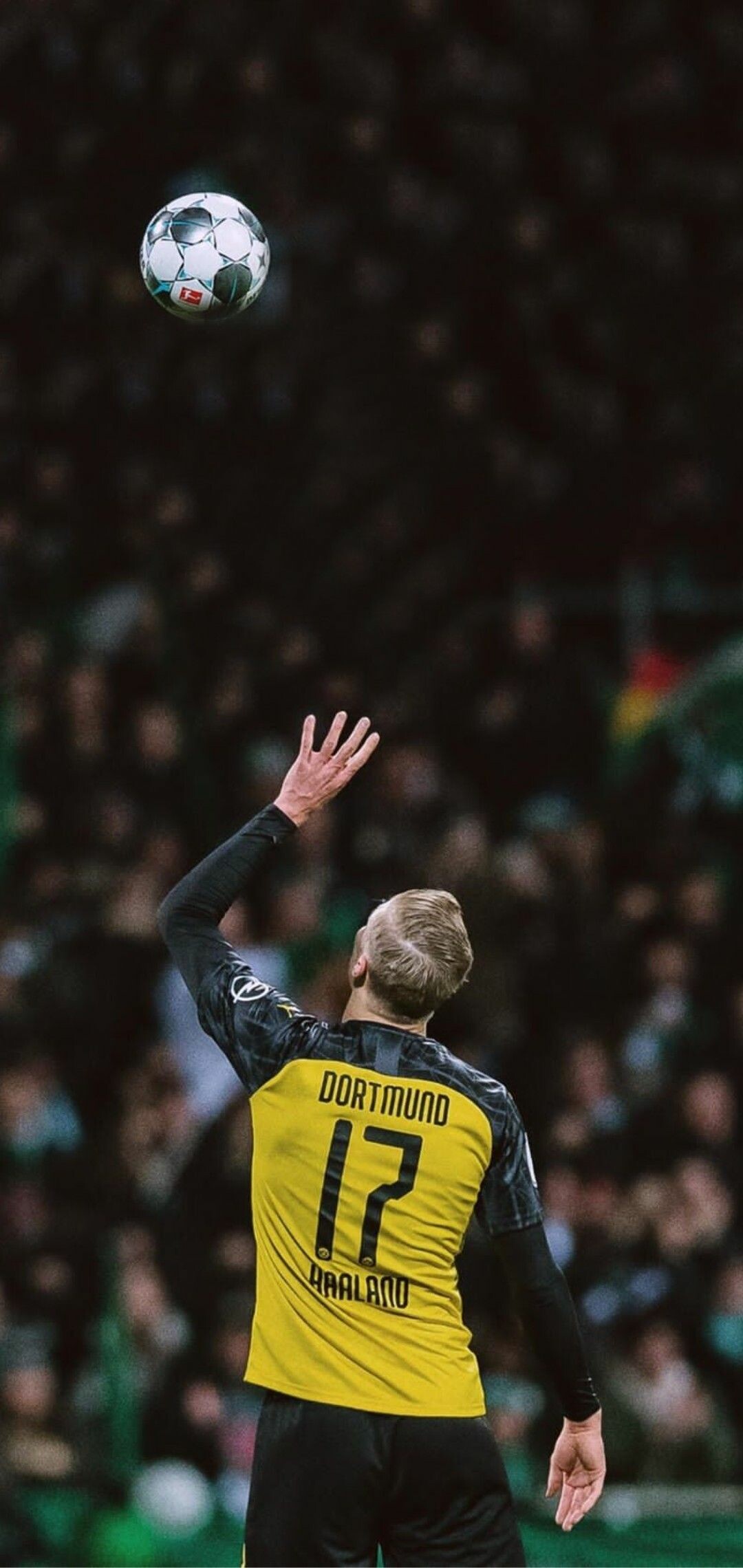 Erling Haaland Wallpaper