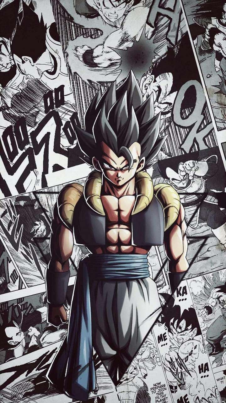 Wallpaper DRAGON BALL 『Gogeta』