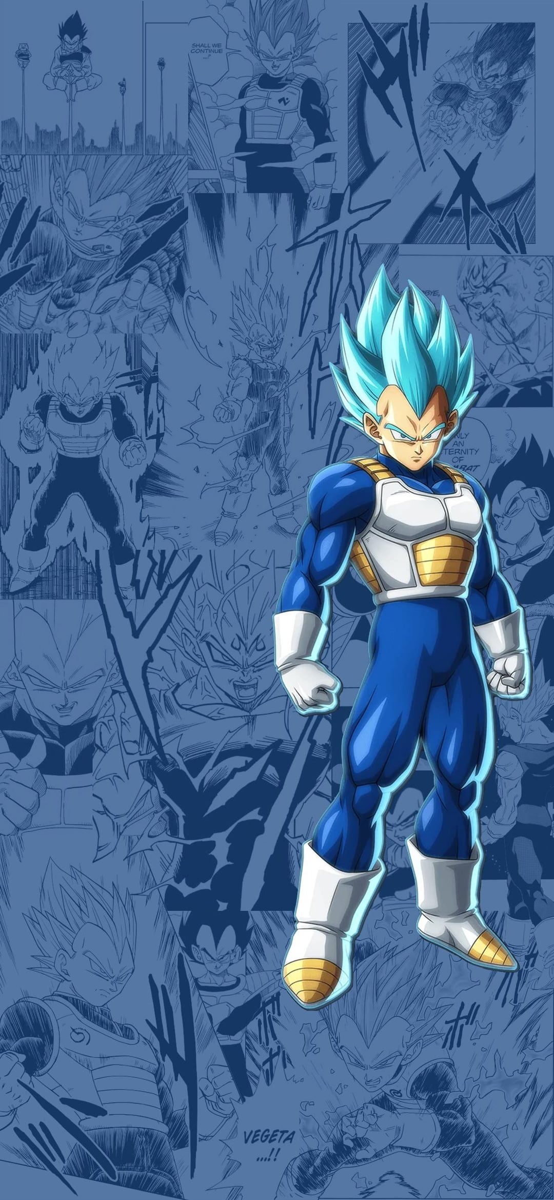 Vegeta wallpaper