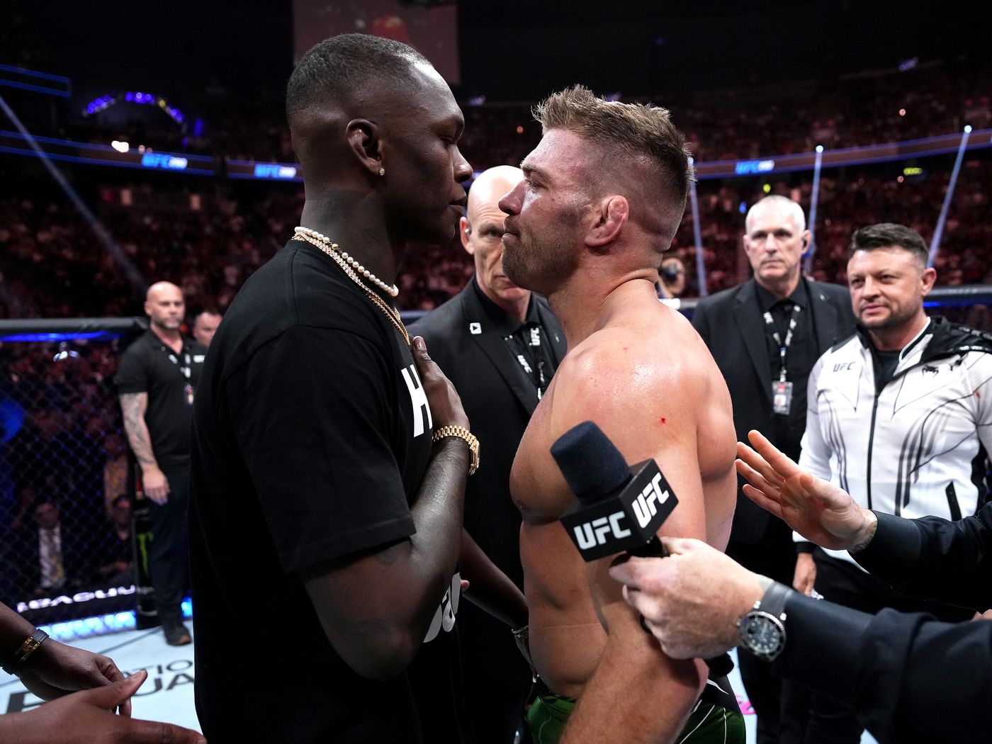 Dricus Du Plessis in UFC title fight