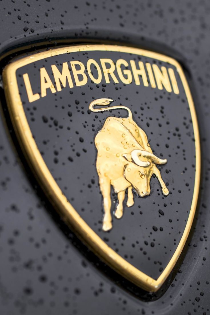 Download Lamborghini Logo Wallpaper