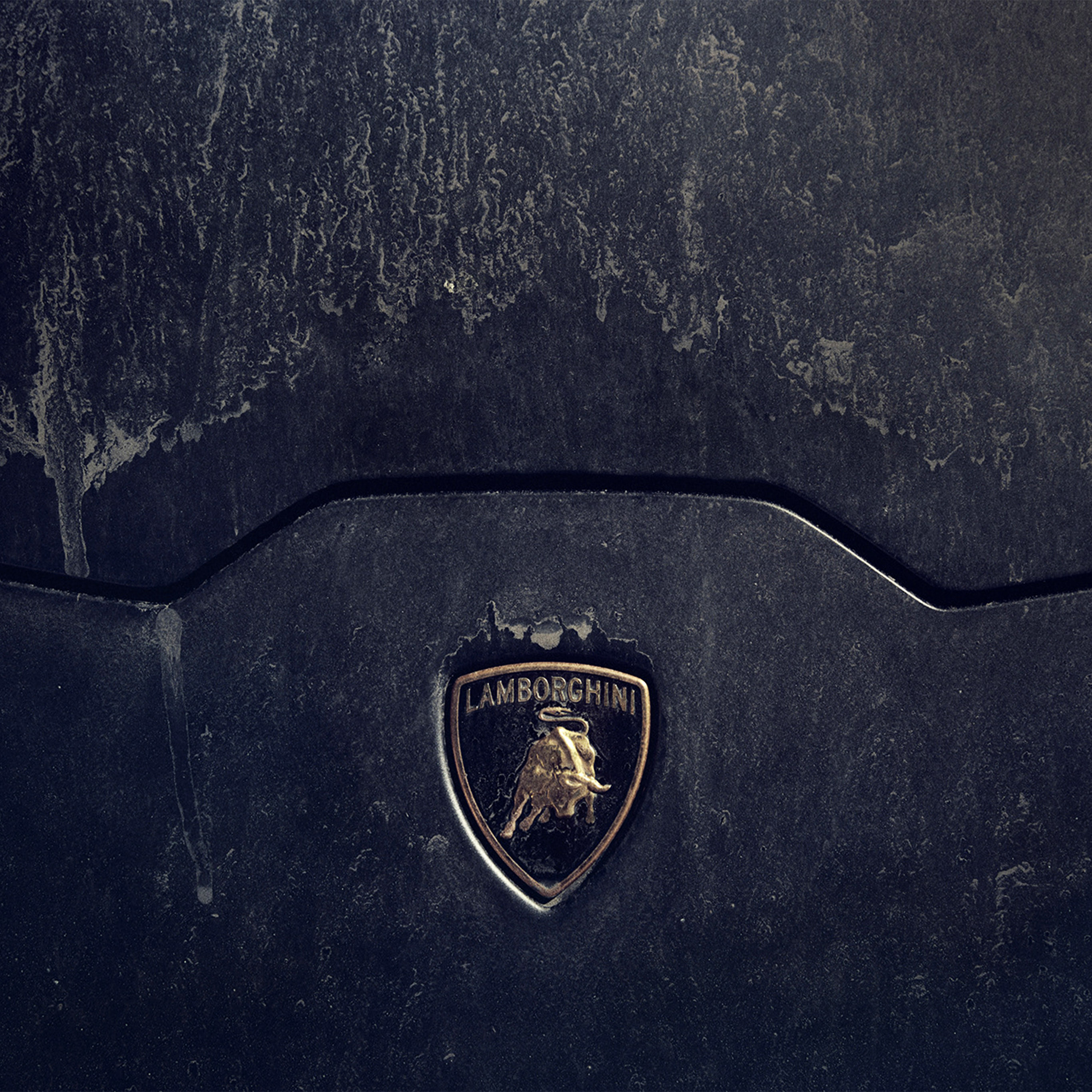 Lamborghini Car Logo Art