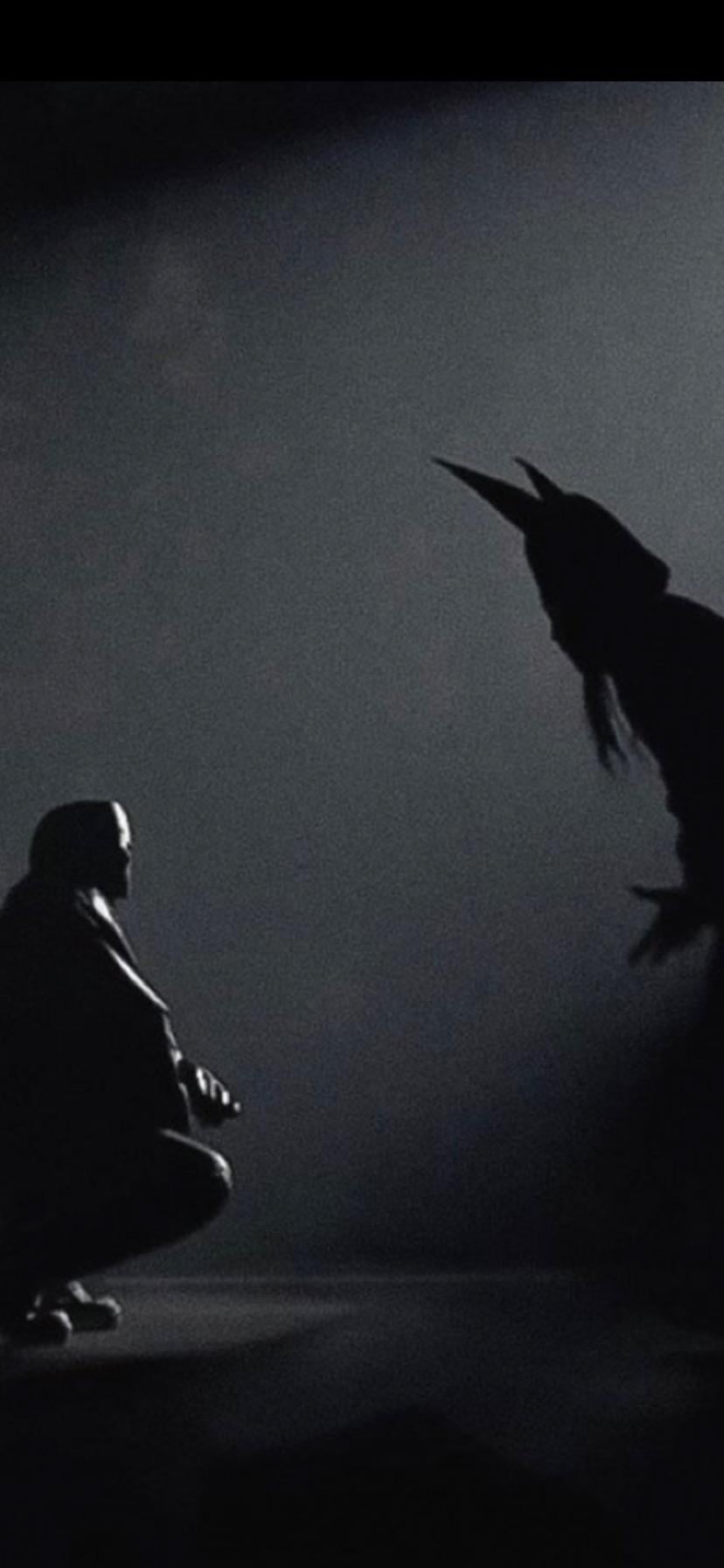 Vultures wallpaper I wanted to share