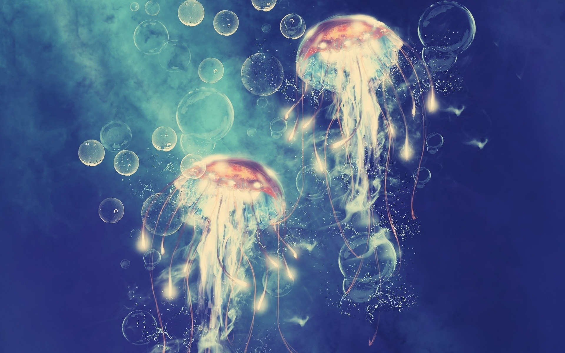 Jellyfish Wallpaper