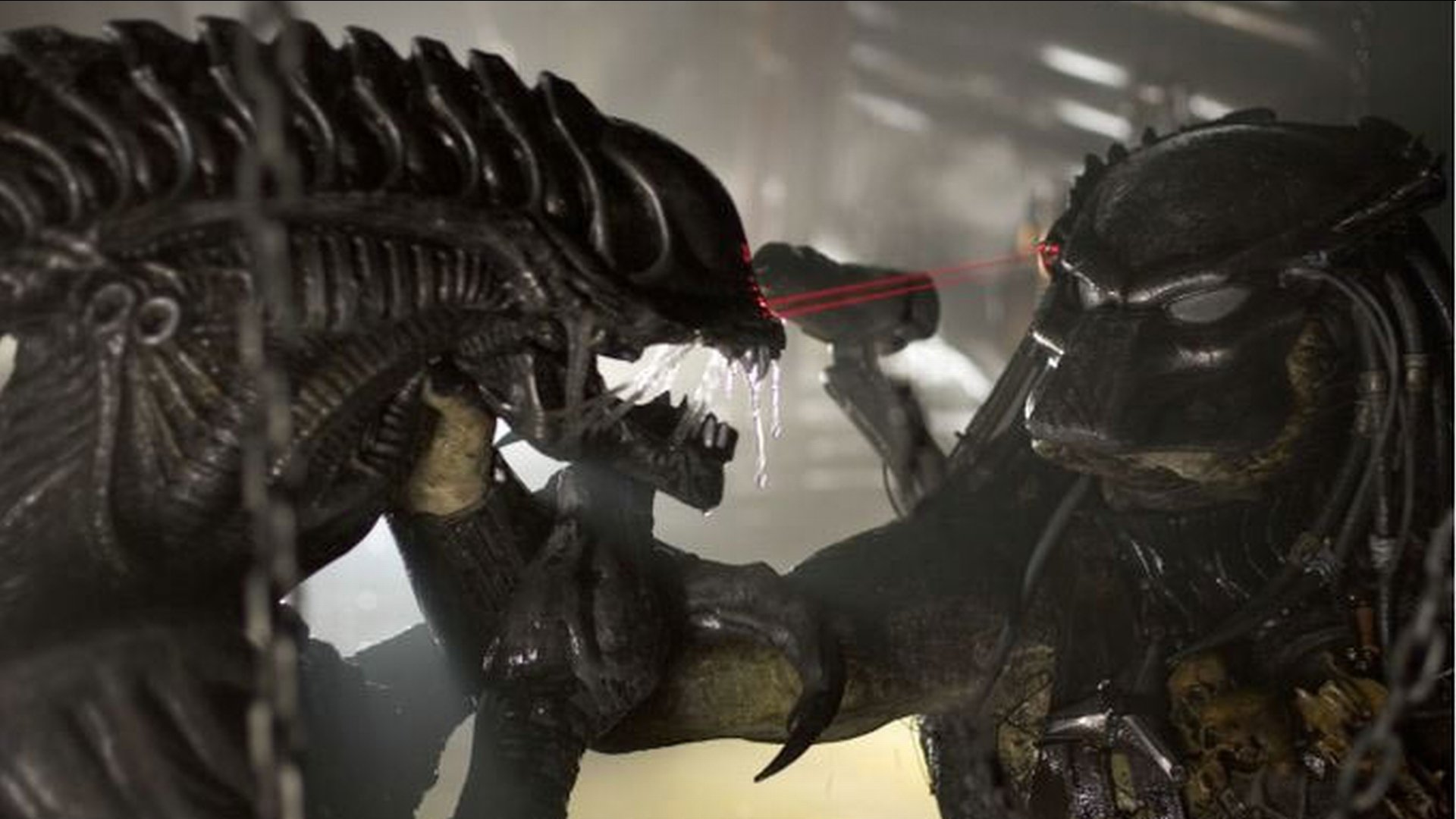 Download Wolf (Predator) Predator Alien