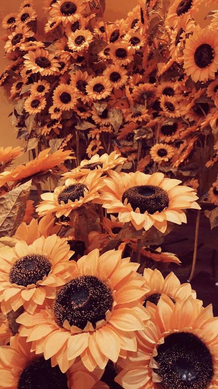 Sunflowers