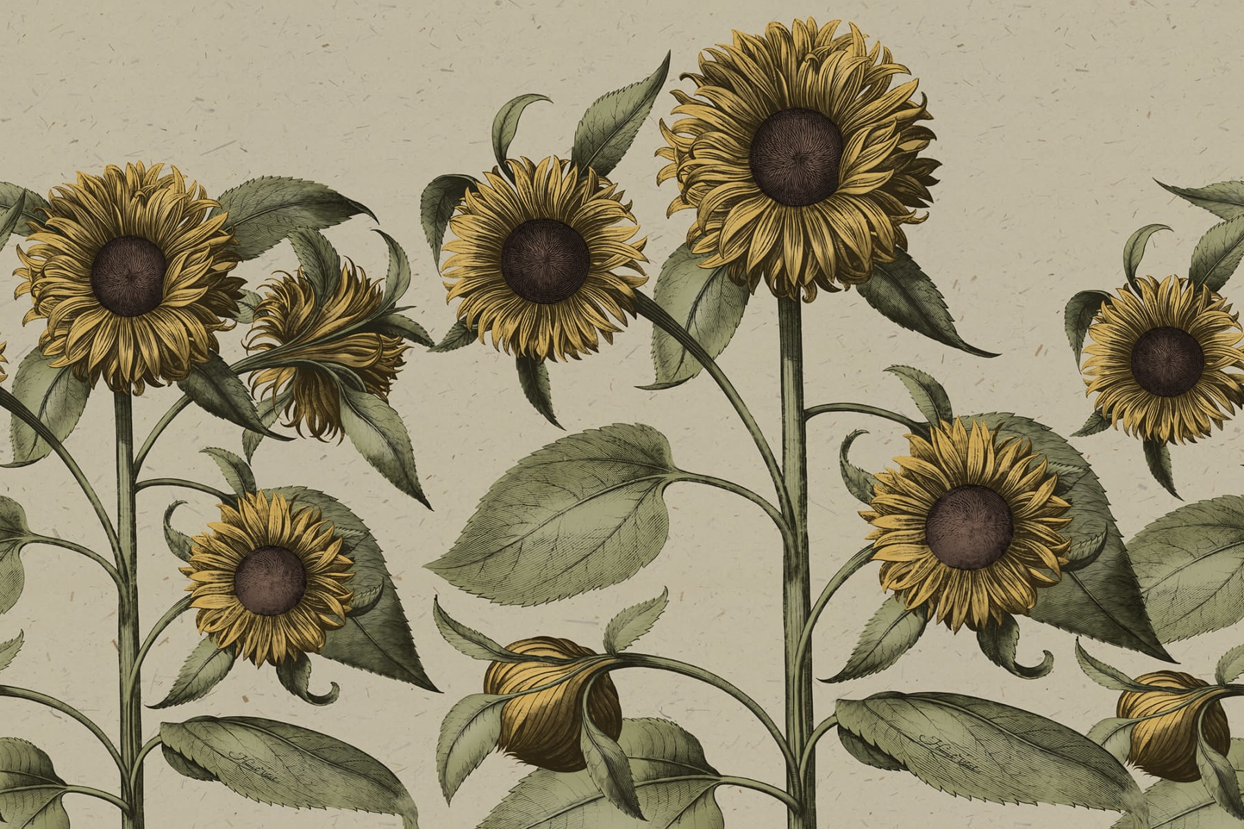 Sunflower Yellow