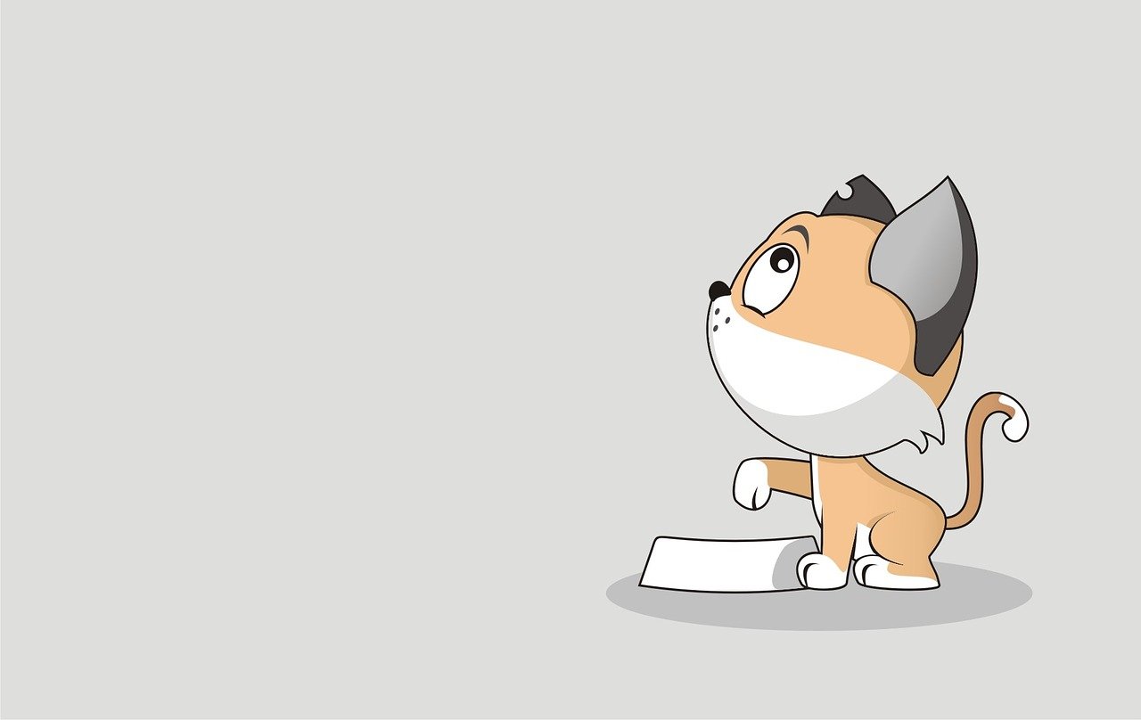 Funny Background & Funny Image