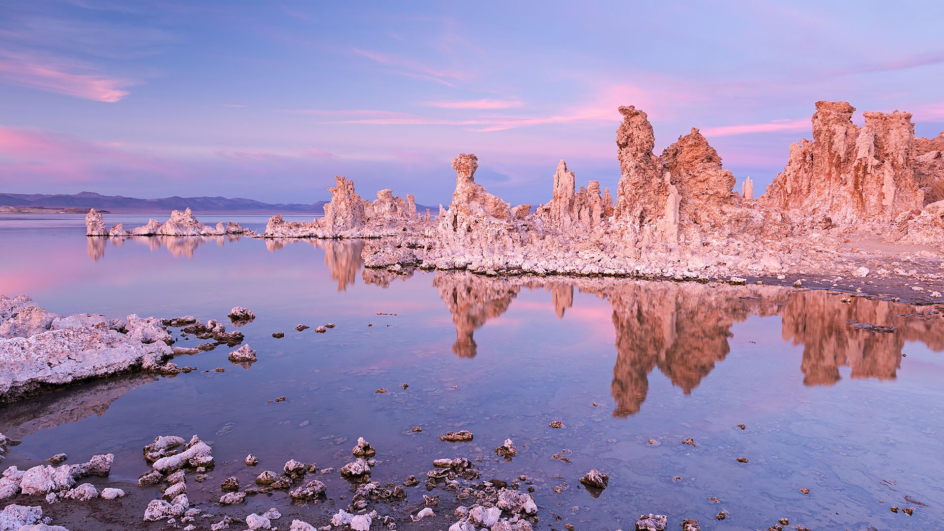 Mono Lake: How to save an endangered