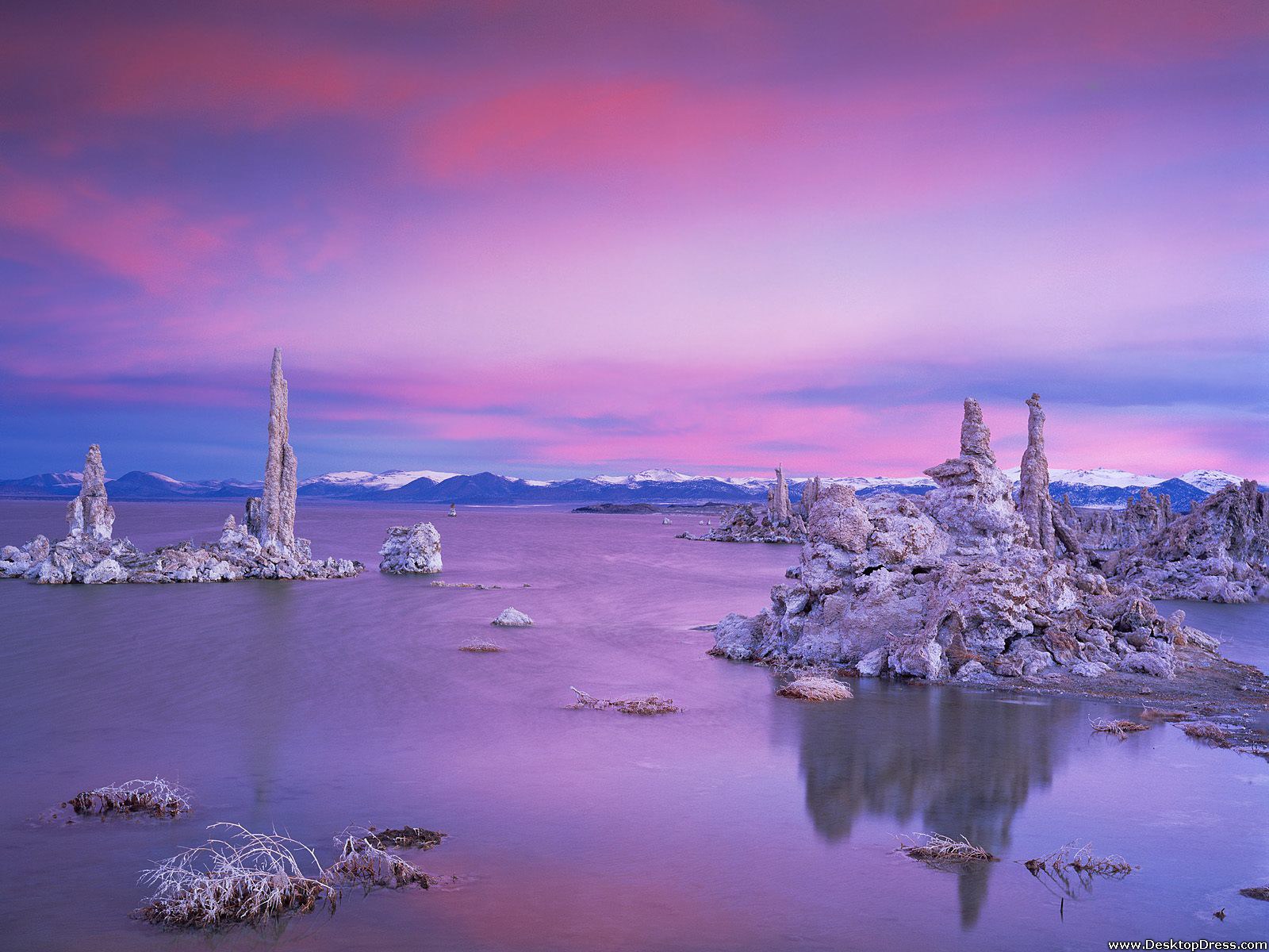 Twilight over South Tufa Grove, Mono