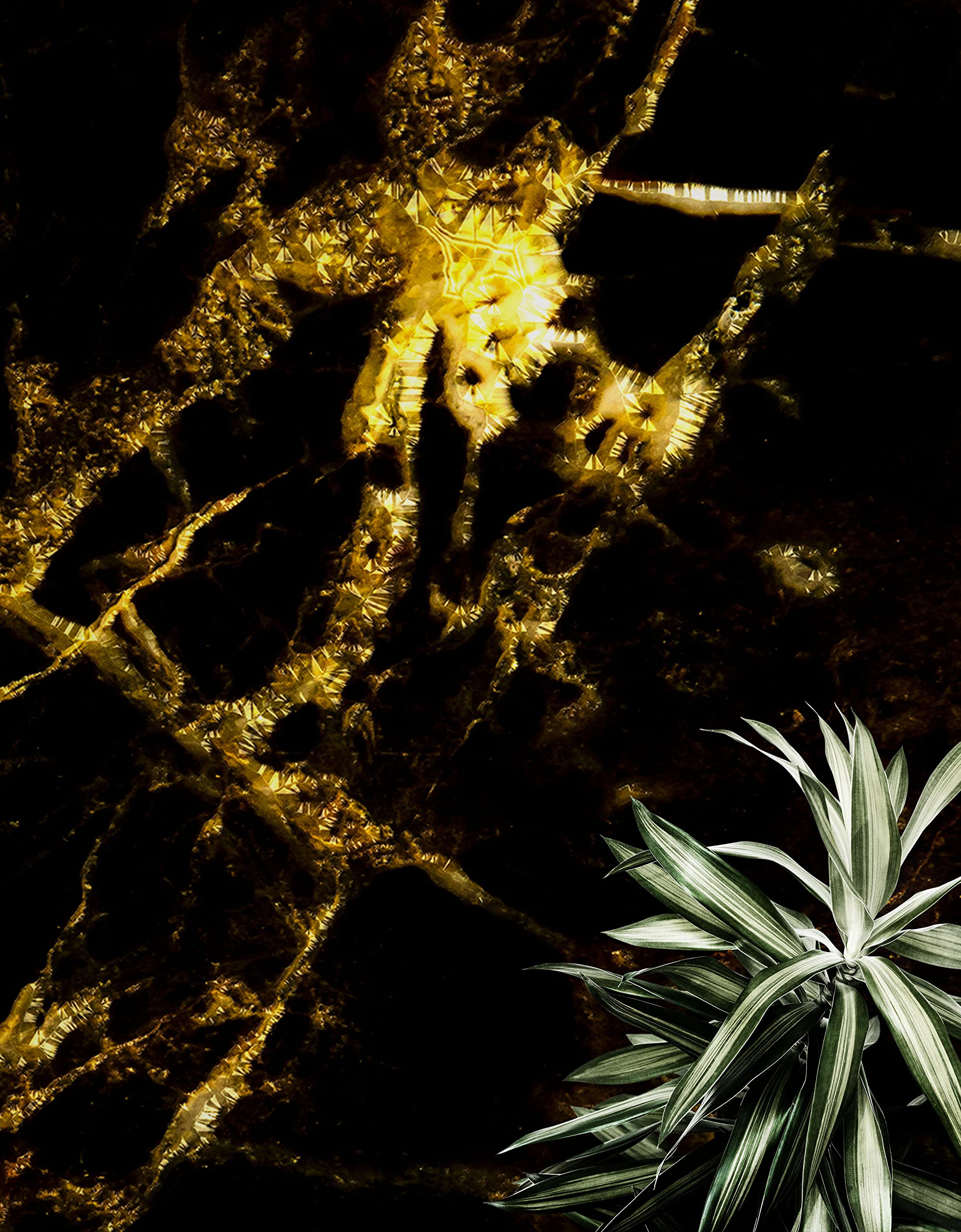 Stick Wallpaper. Removable Wall Mural