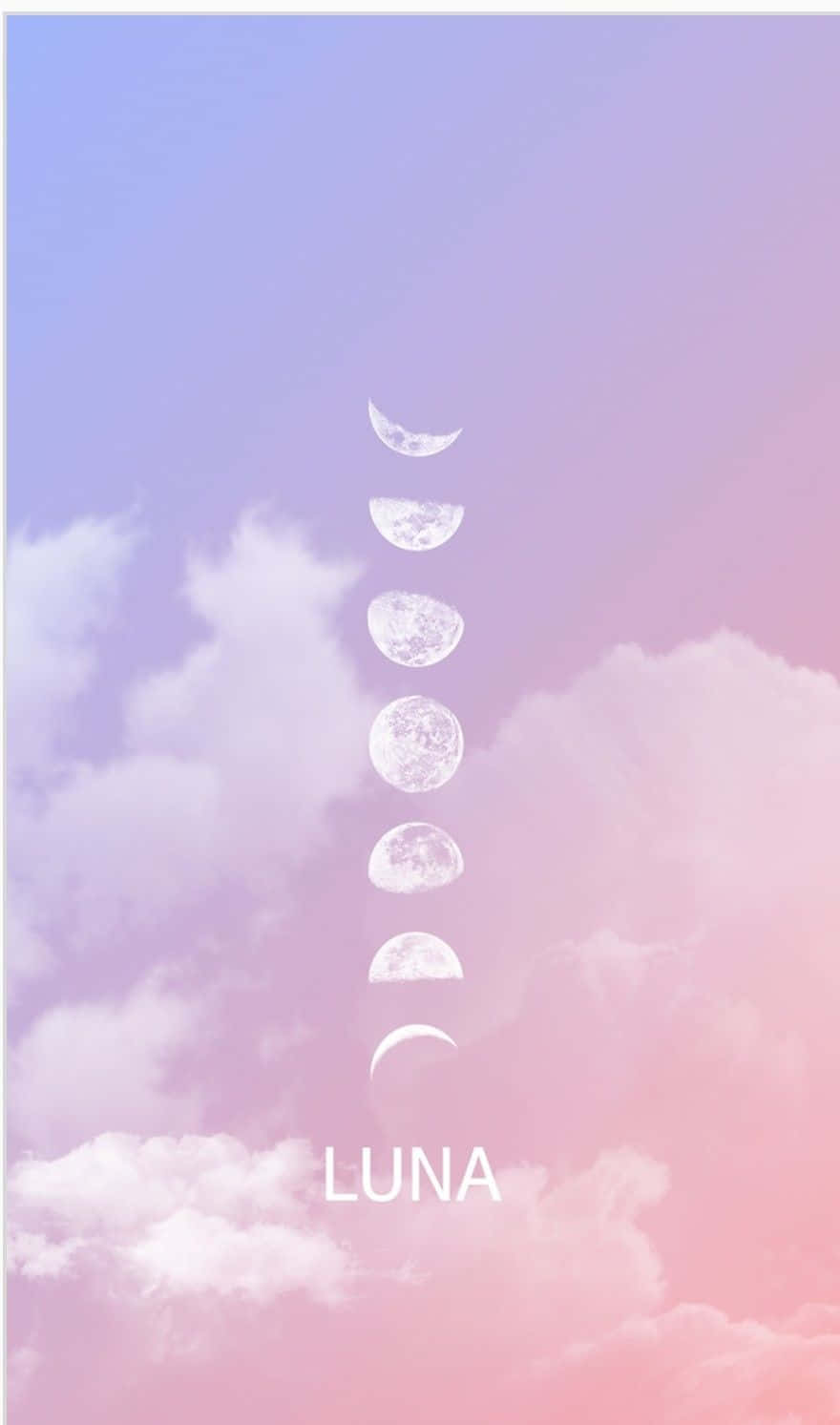 Soft Girl Aesthetic HD Wallpaper