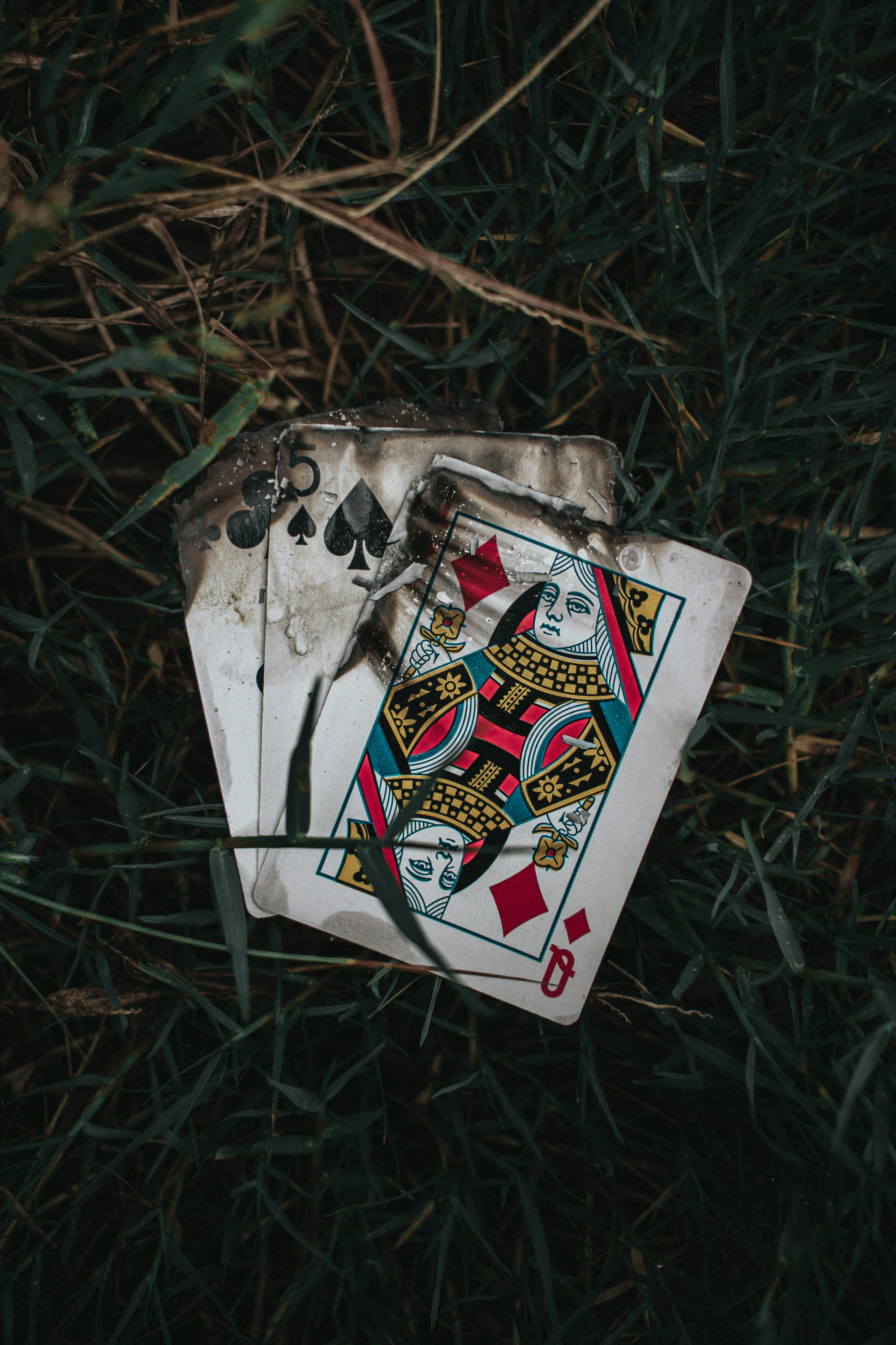 Burnt Playing Cards on Green and Brown