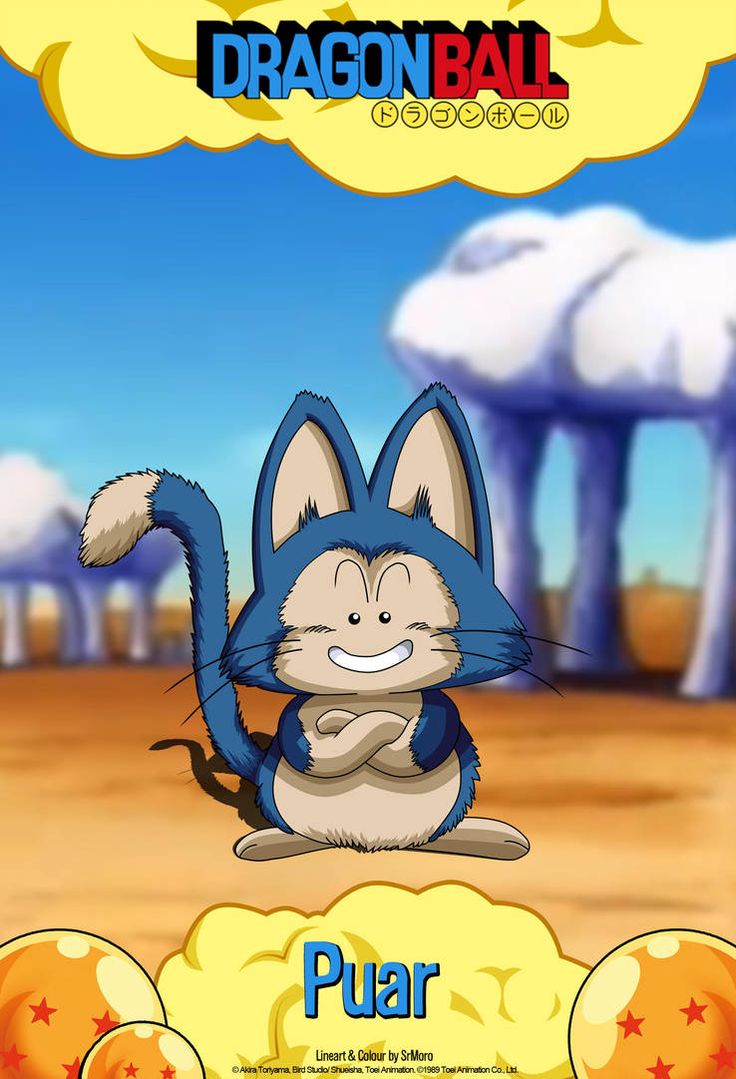 Dragon Ball History