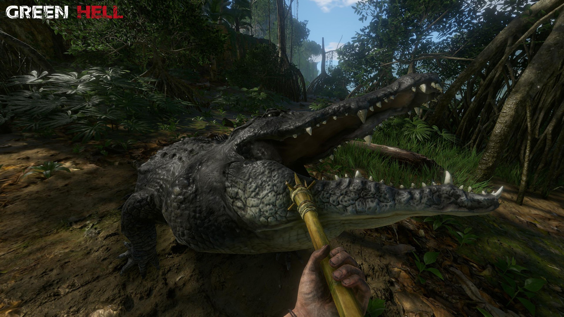 Green Hell Wallpaper