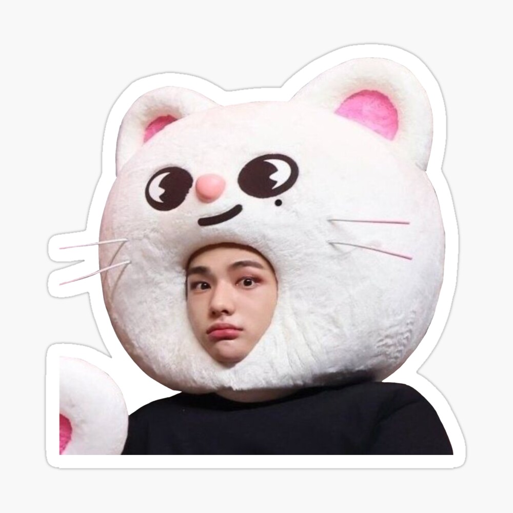 jiniret hyunjin SKZOO Postcard