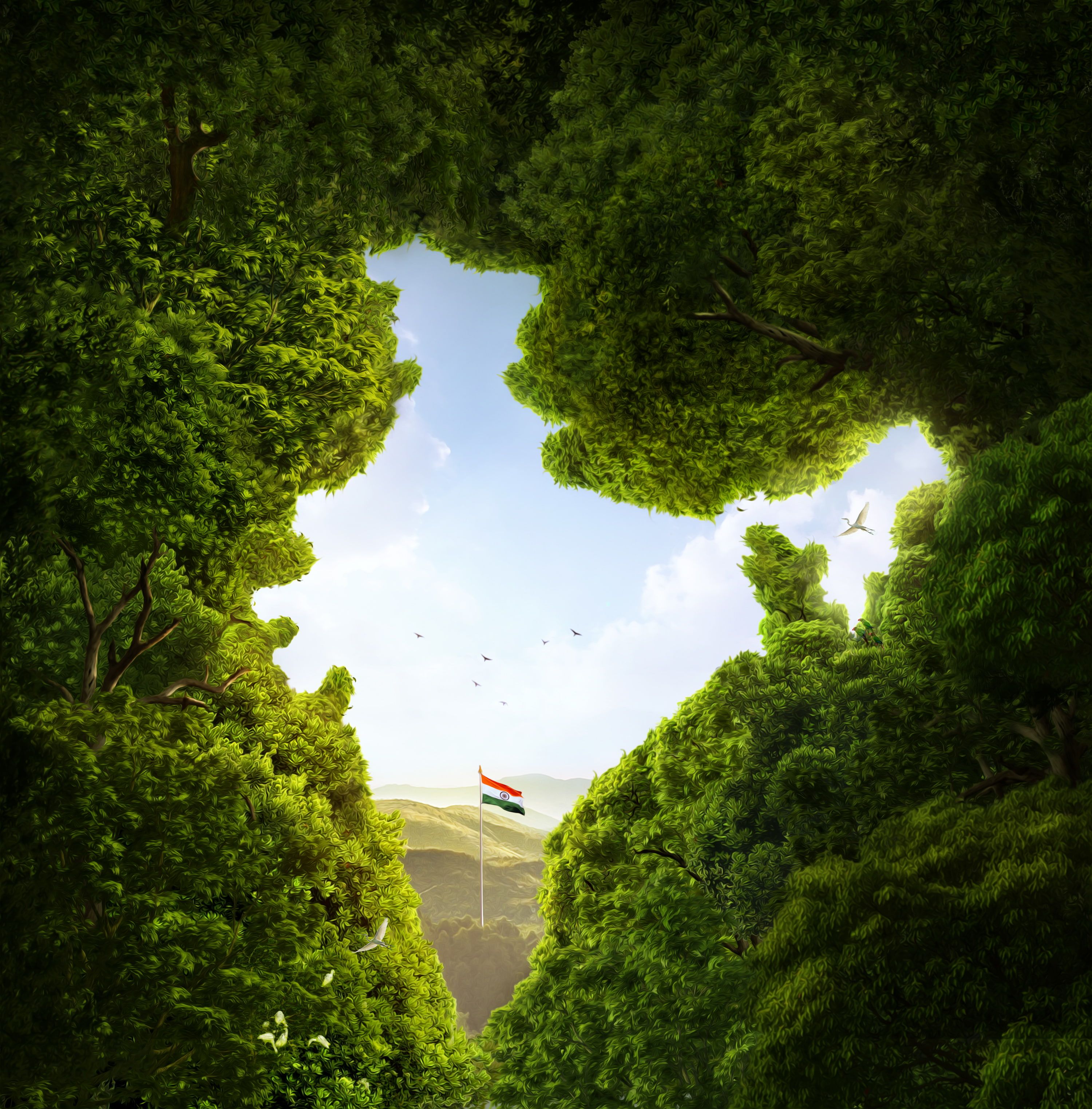 HD wallpaper: green leaf tree, India