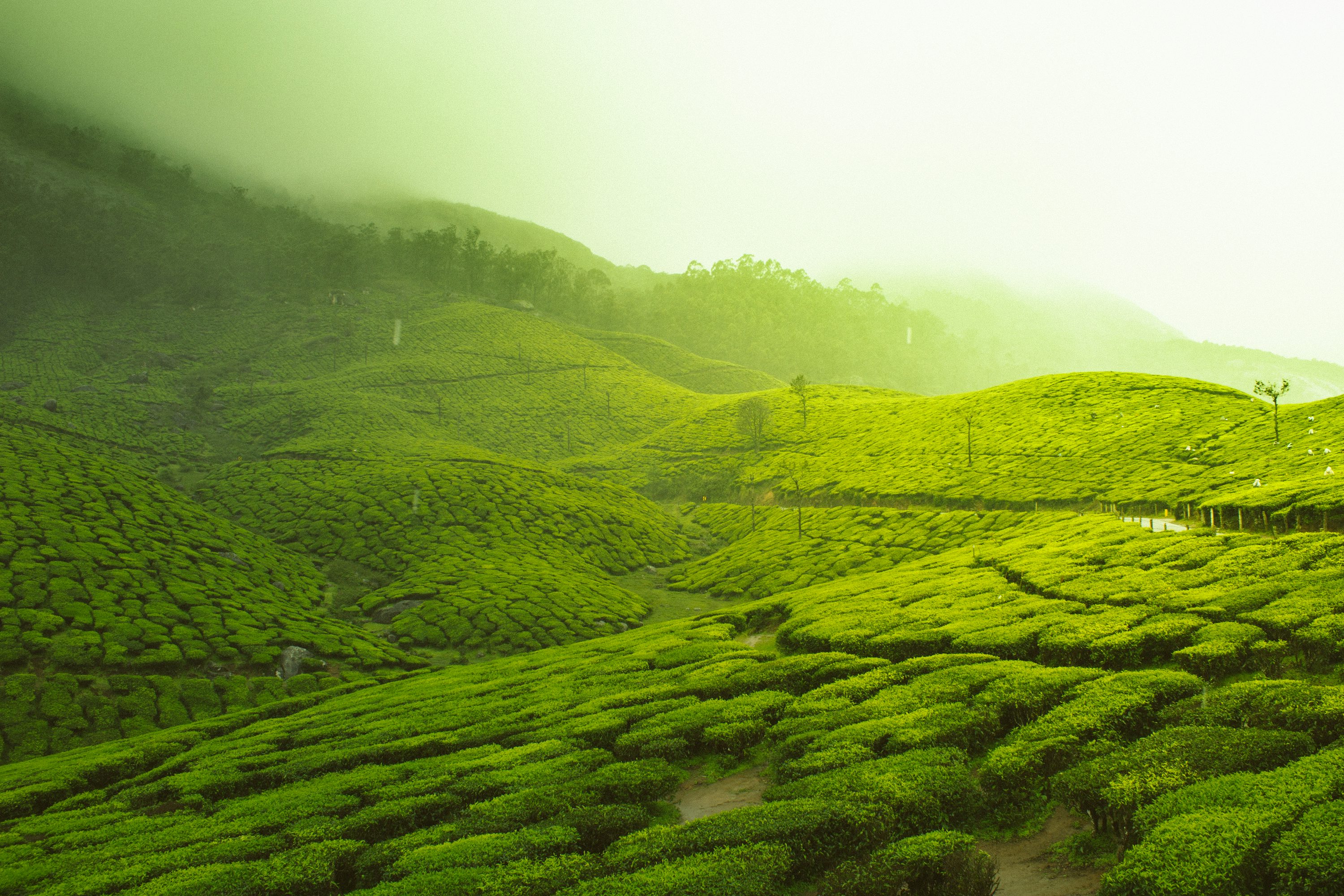 India Landscape Picture. Download