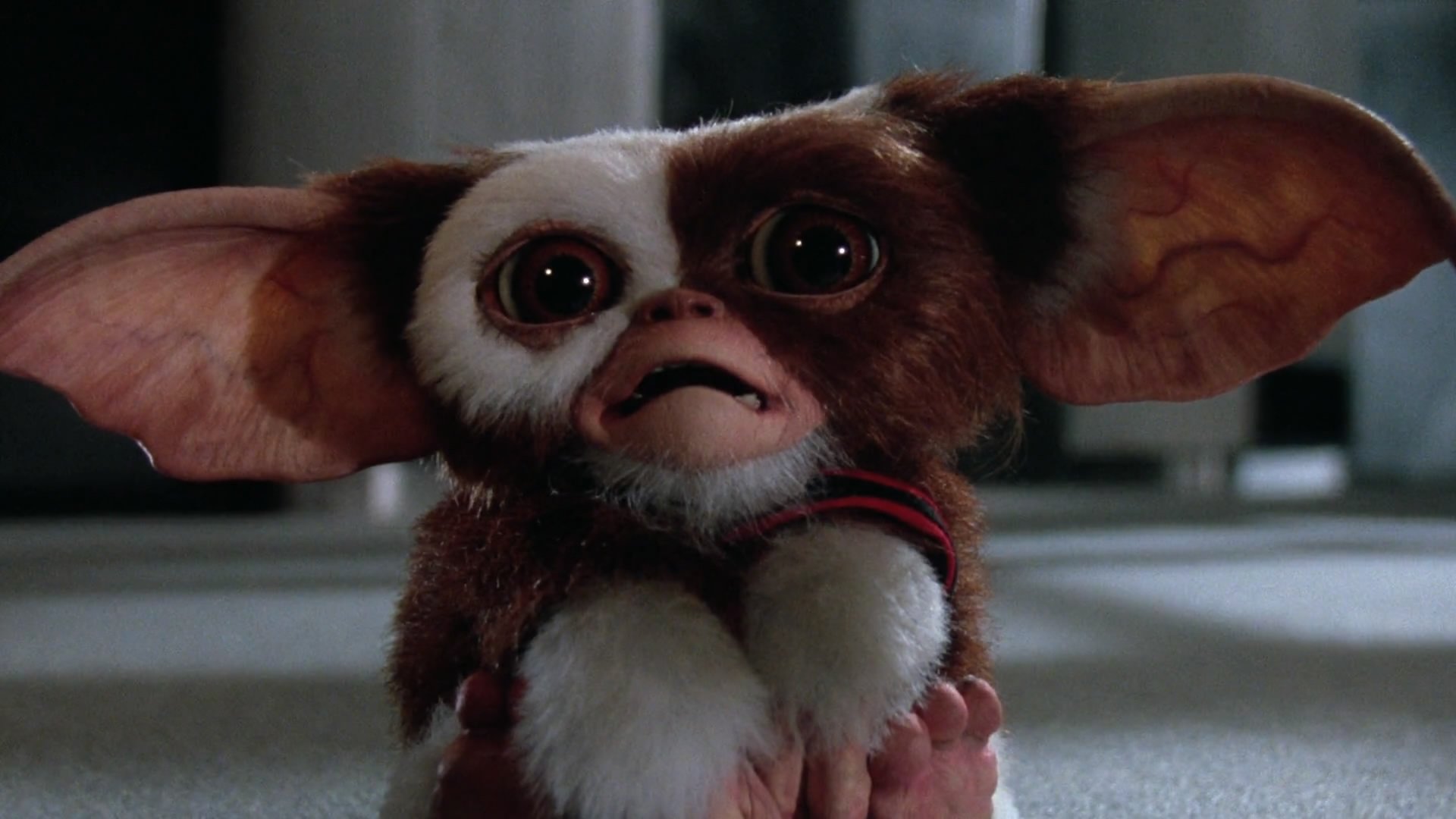Gizmo (Gremlins) Movie Gremlins