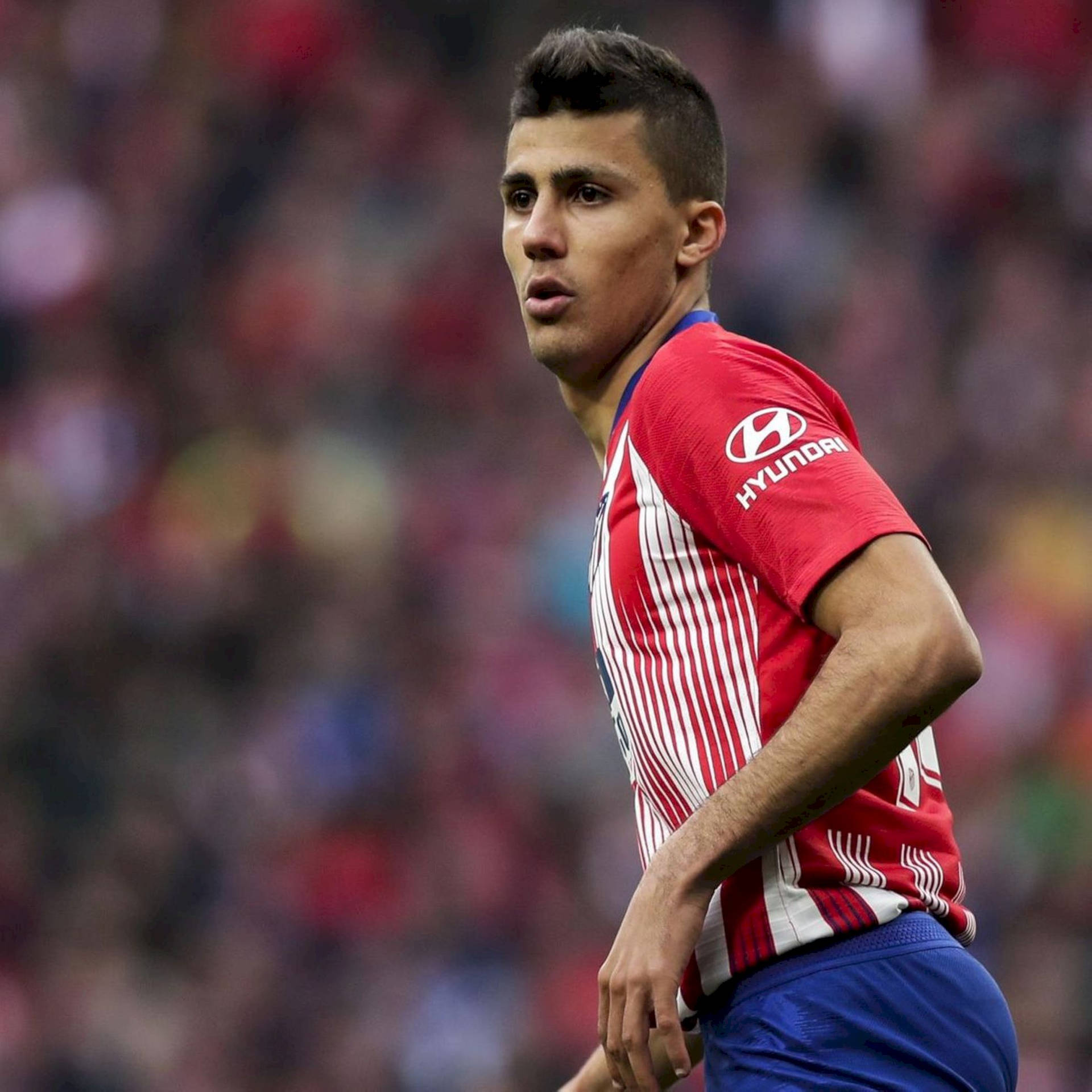 Cascante Looking In Distance Wallpaper